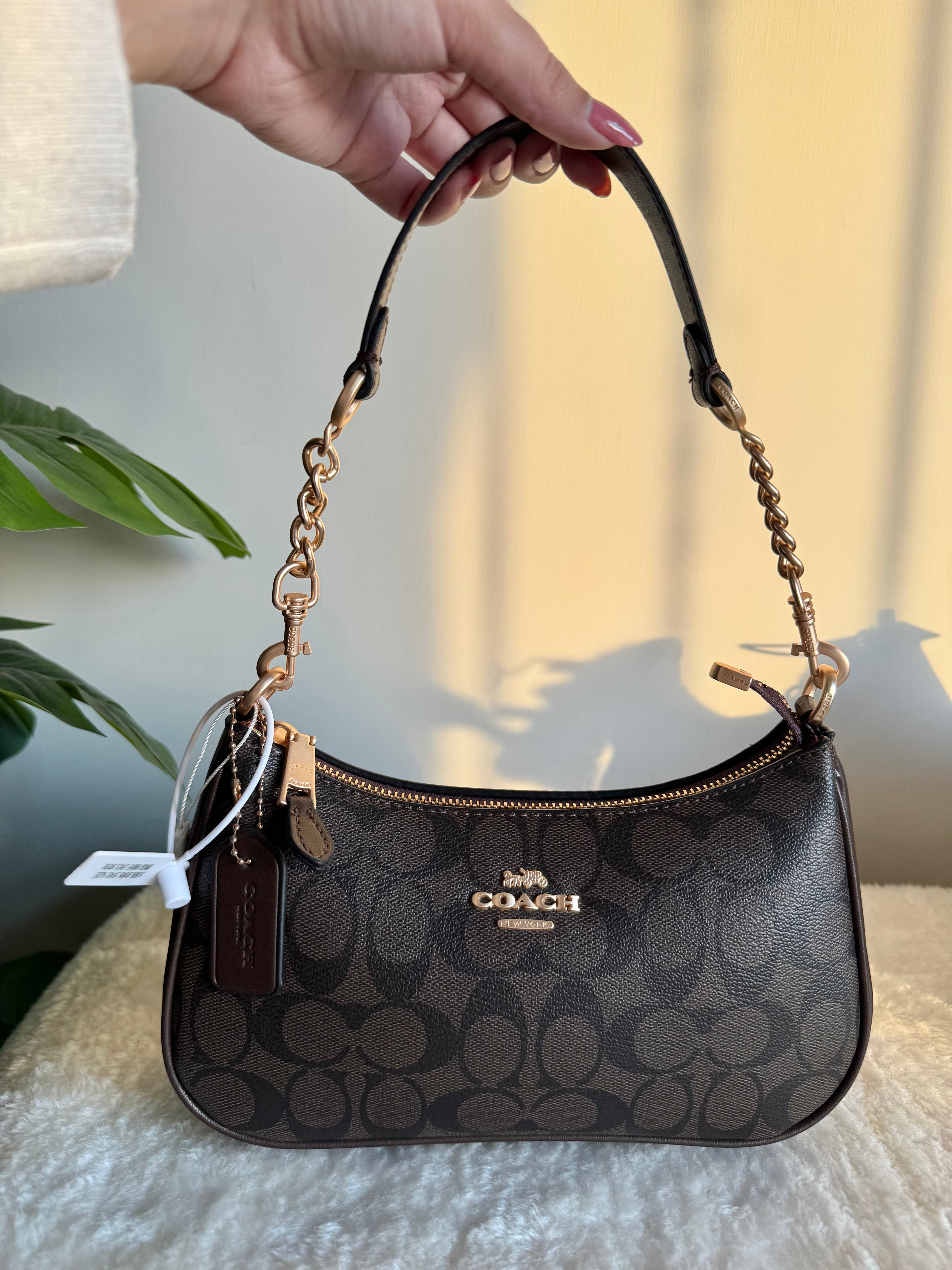 COACH TERI PREMIUM (Signature Brown) - BOX PACKING