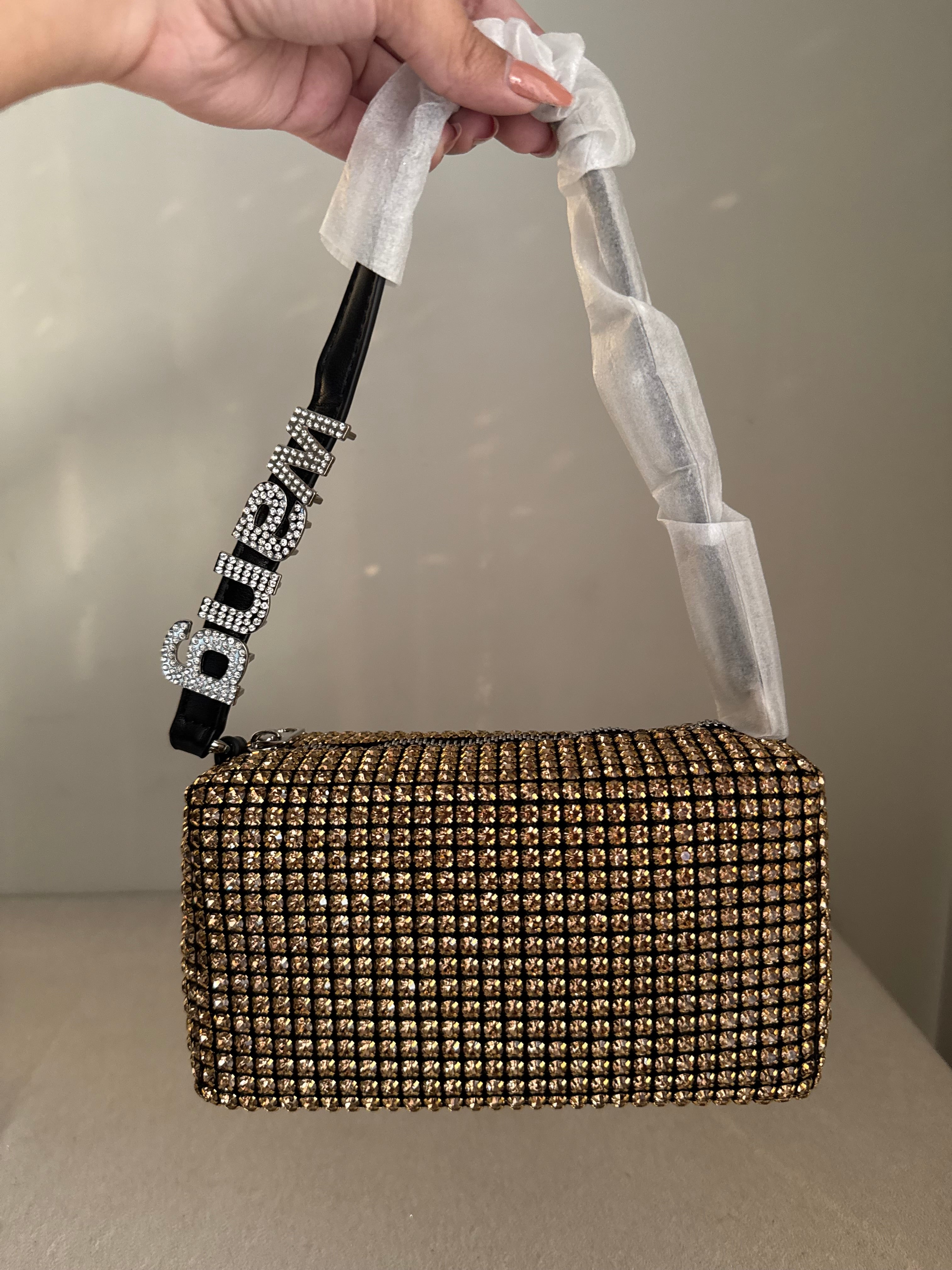 Alexander Wang Rhinestone Evening Clutch (Champagne & Black)