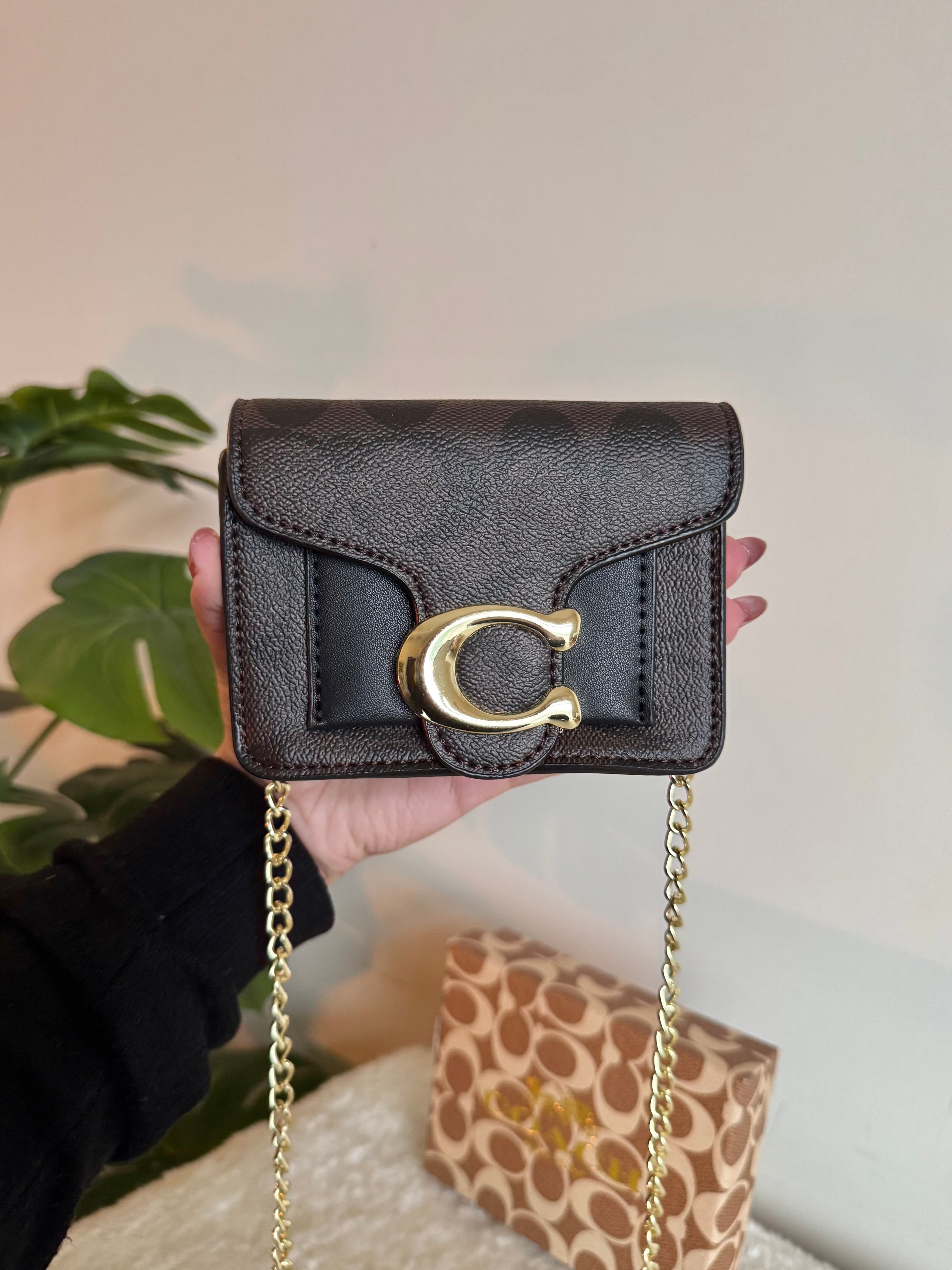 Coach Signature Wallet with Detachable Long Chain - Brown