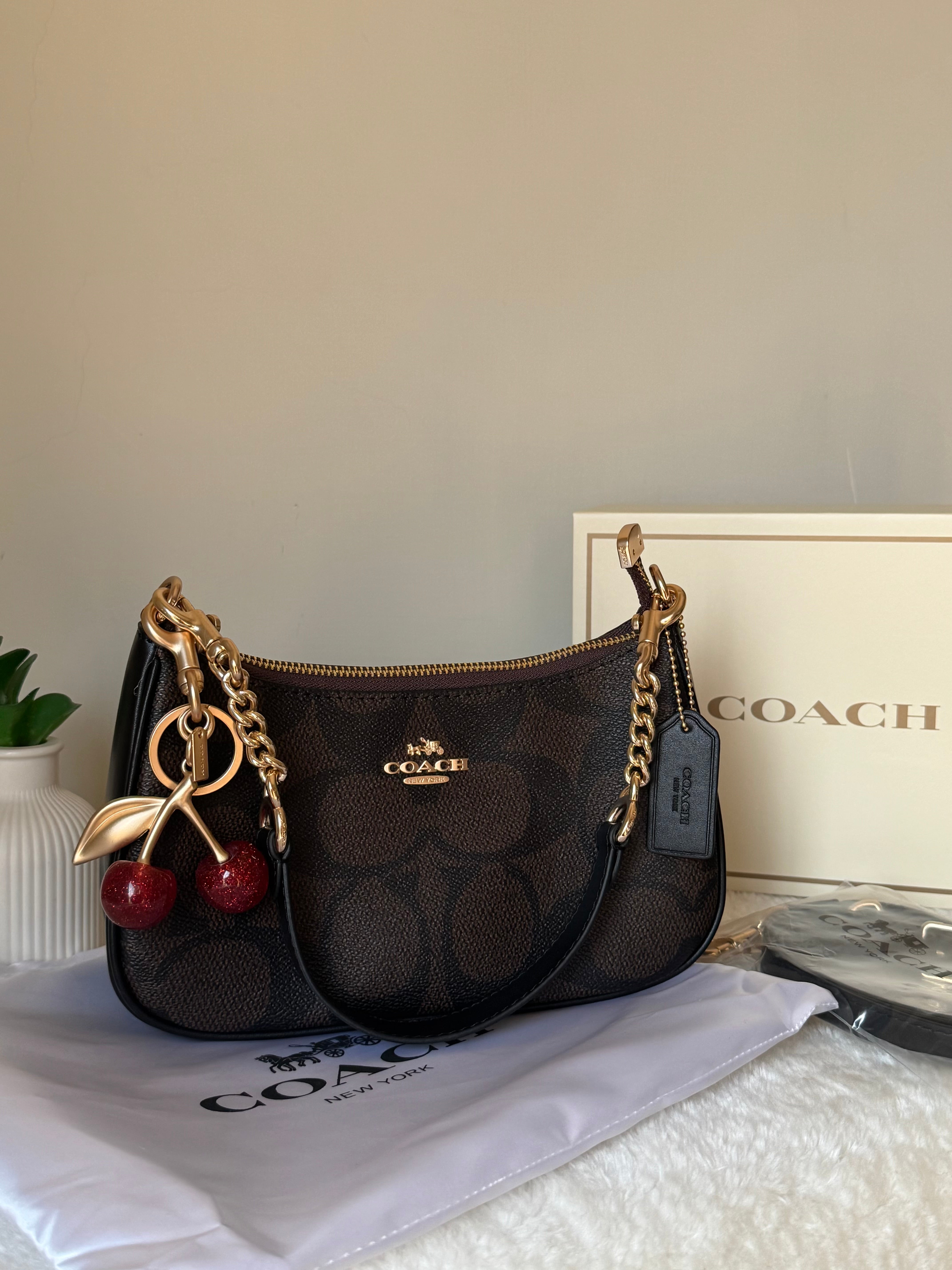 COACH TERI PREMIUM with Coach Cherry Charm (Brown) - BOX PACKING