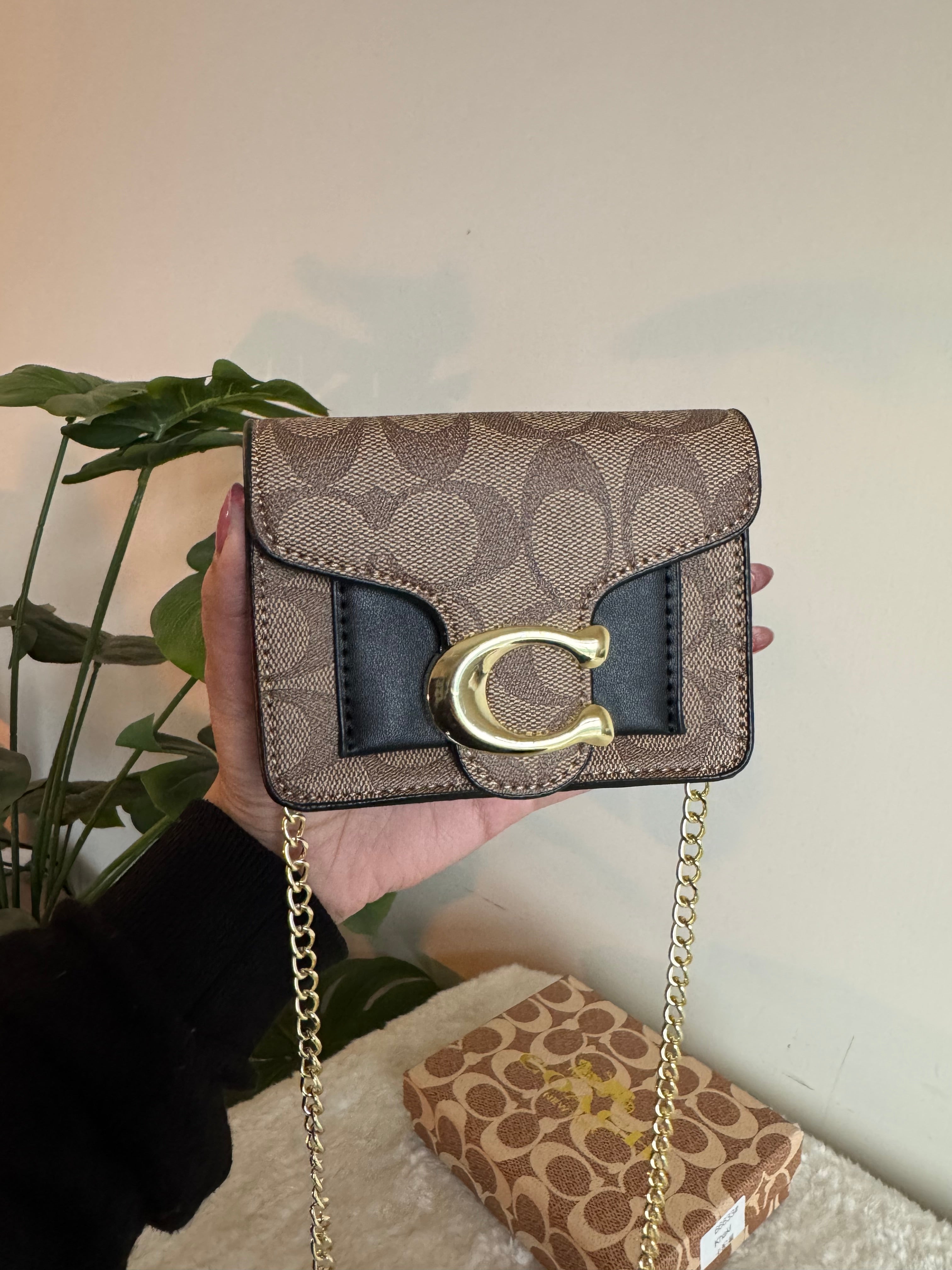 Coach Signature Wallet with Detachable Long Chain - Khaaki