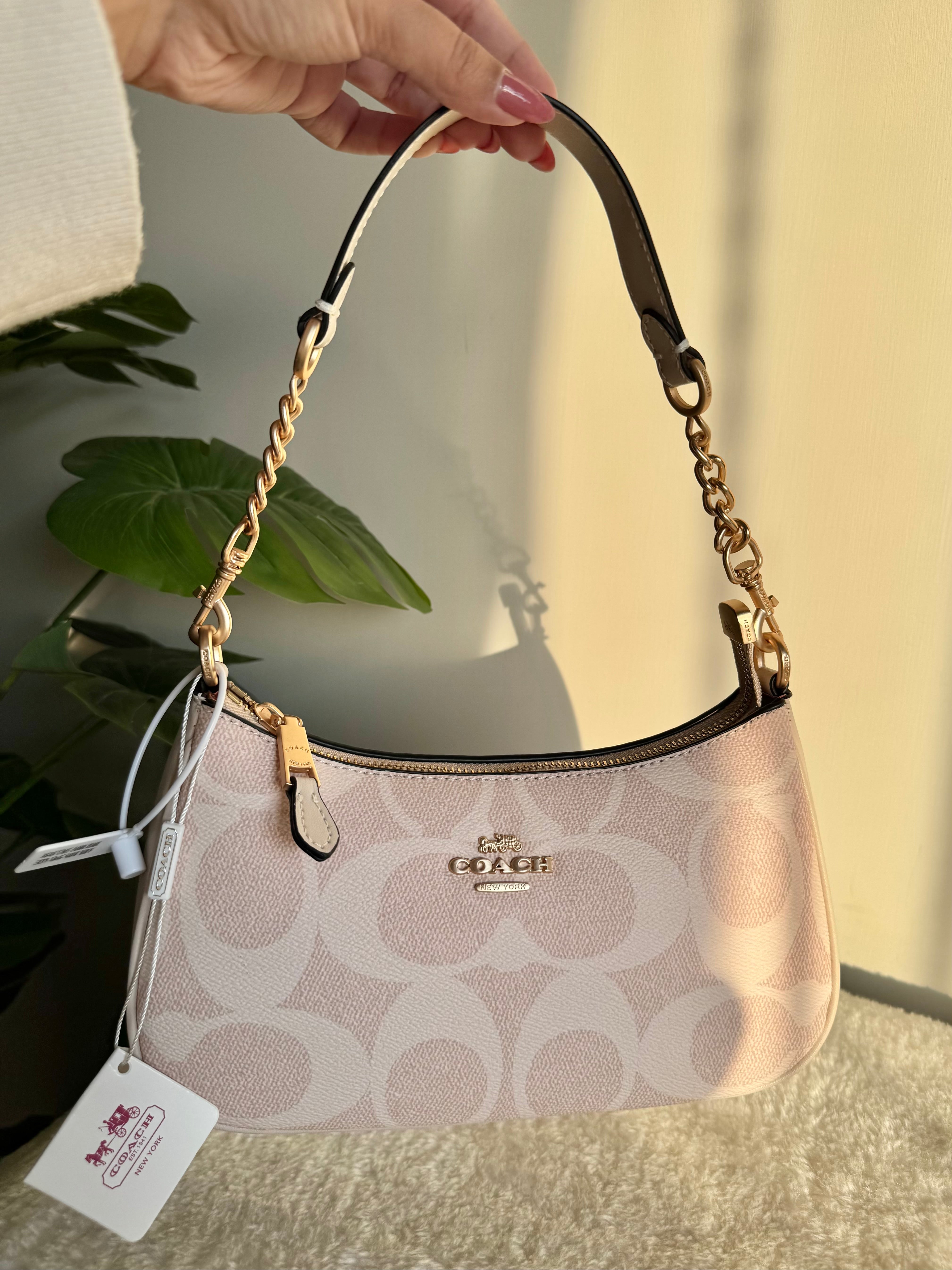 COACH TERI PREMIUM (Beige) - BOX PACKING