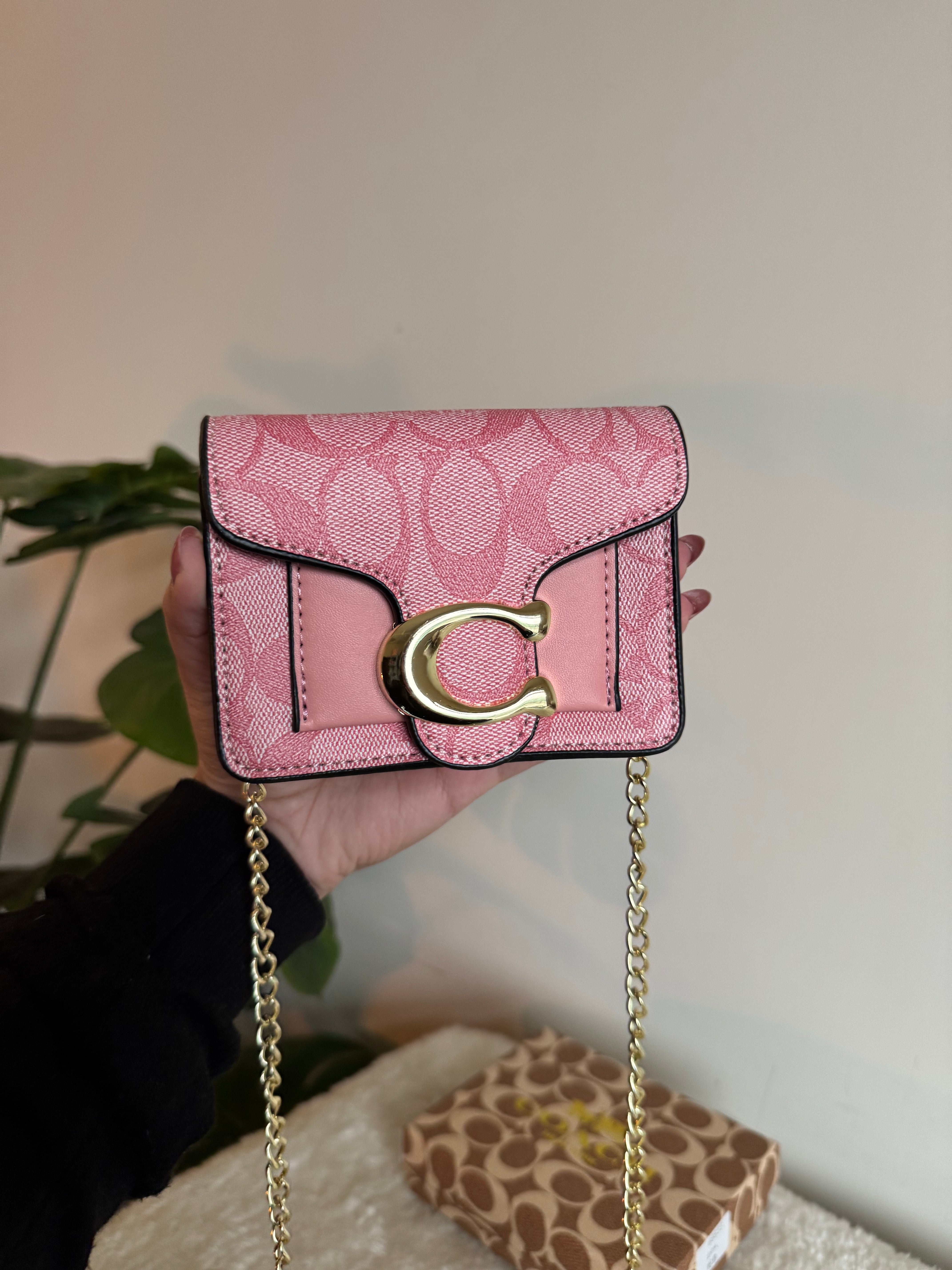Coach Signature Wallet with Detachable Long Chain - Pink