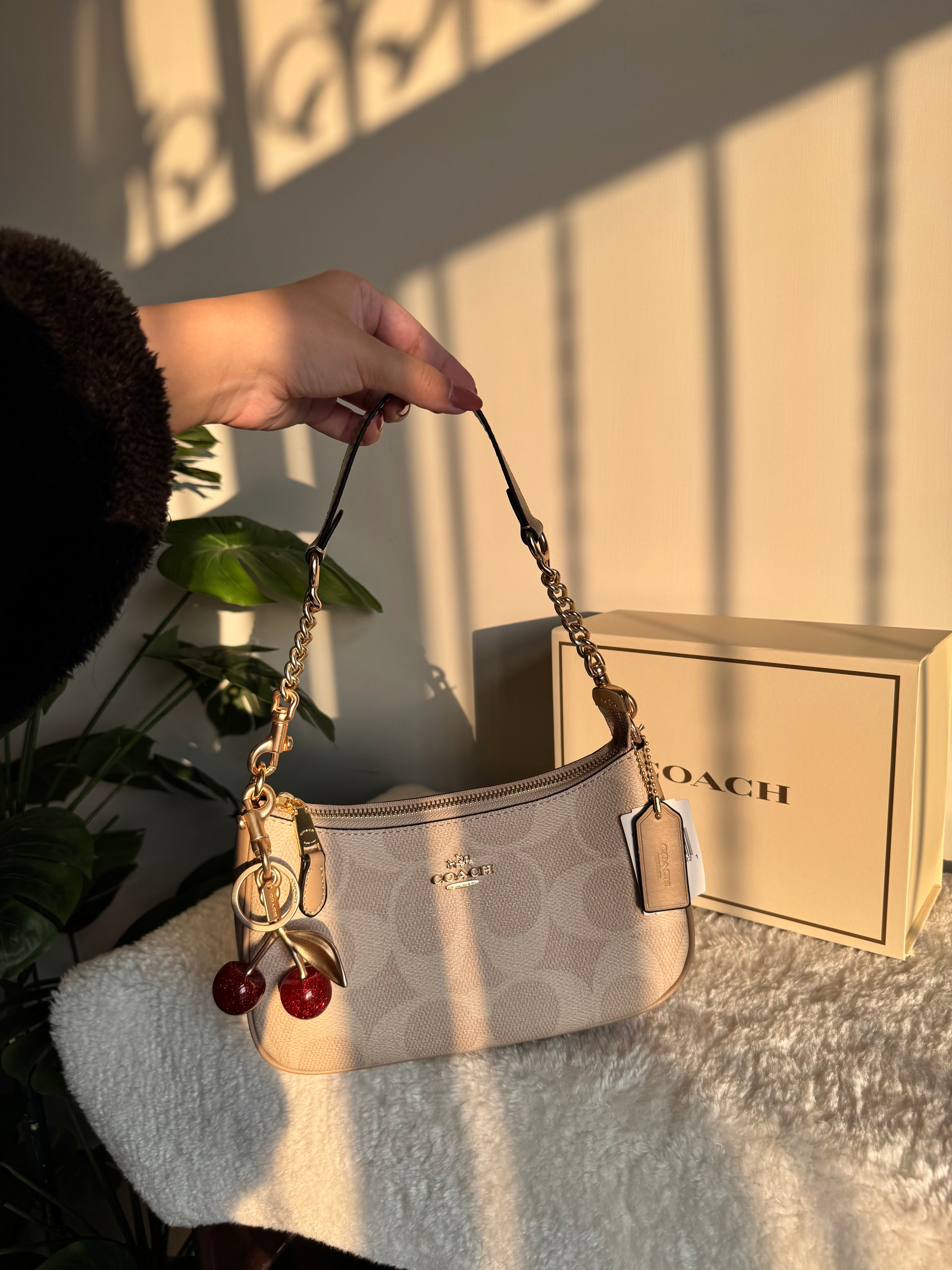 COACH TERI PREMIUM with Coach Cherry Charm (Beige) - BOX PACKING