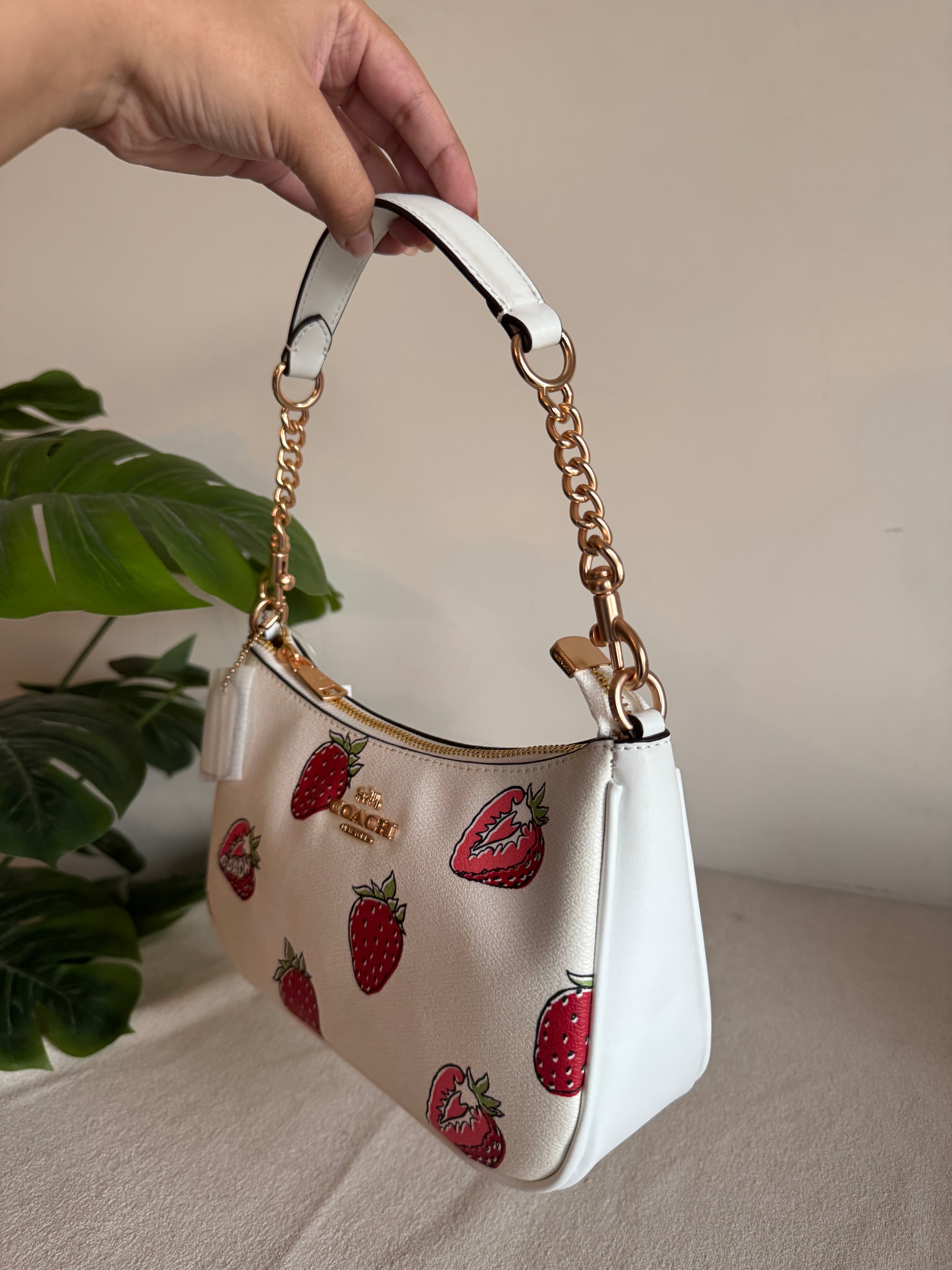 COACH TERI Limited Time Strawberry Shortcake - BOX PACKING