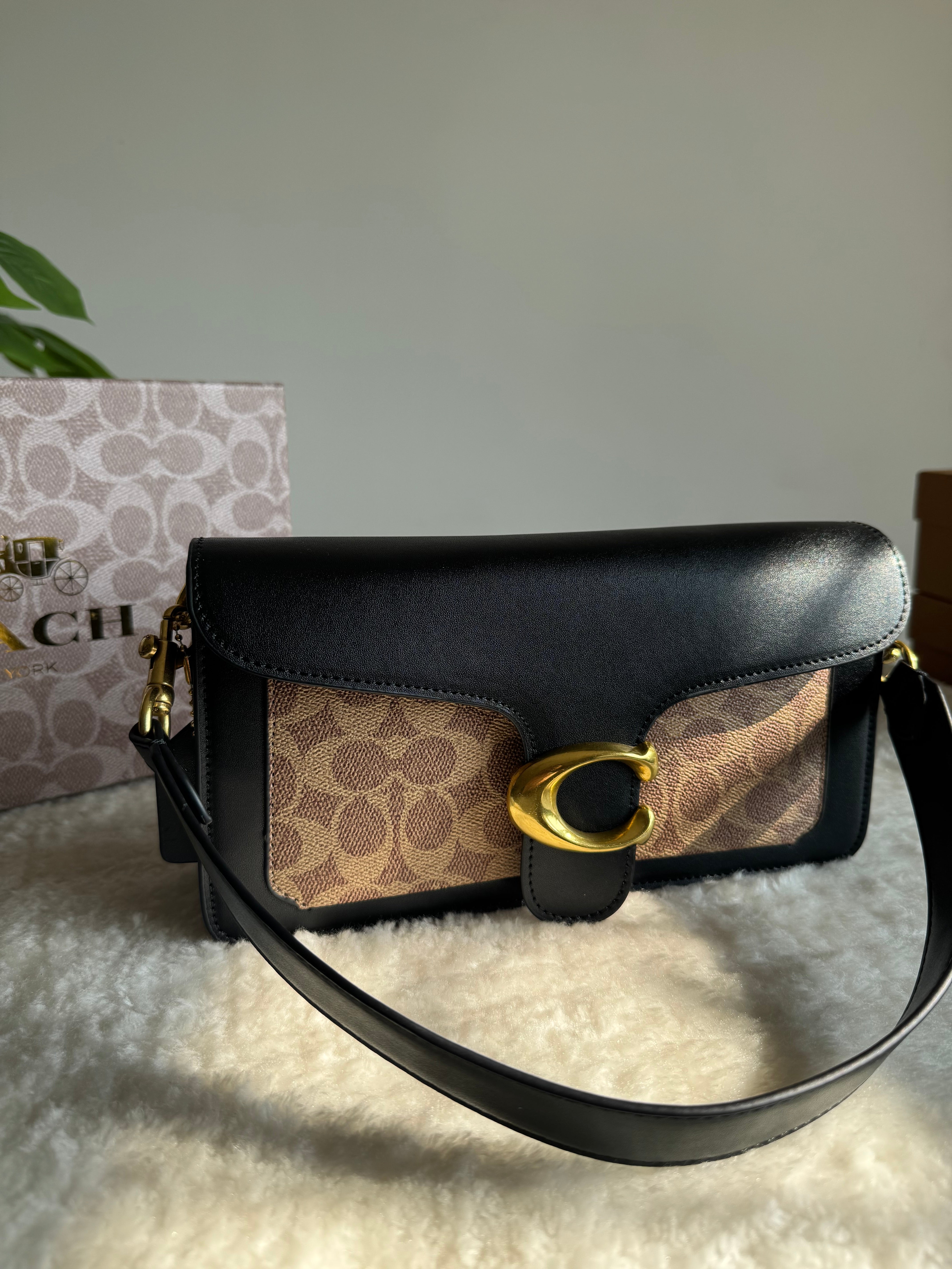 COACH TABBY PREMIUM (Khaaki & Black) - BOX PACKING