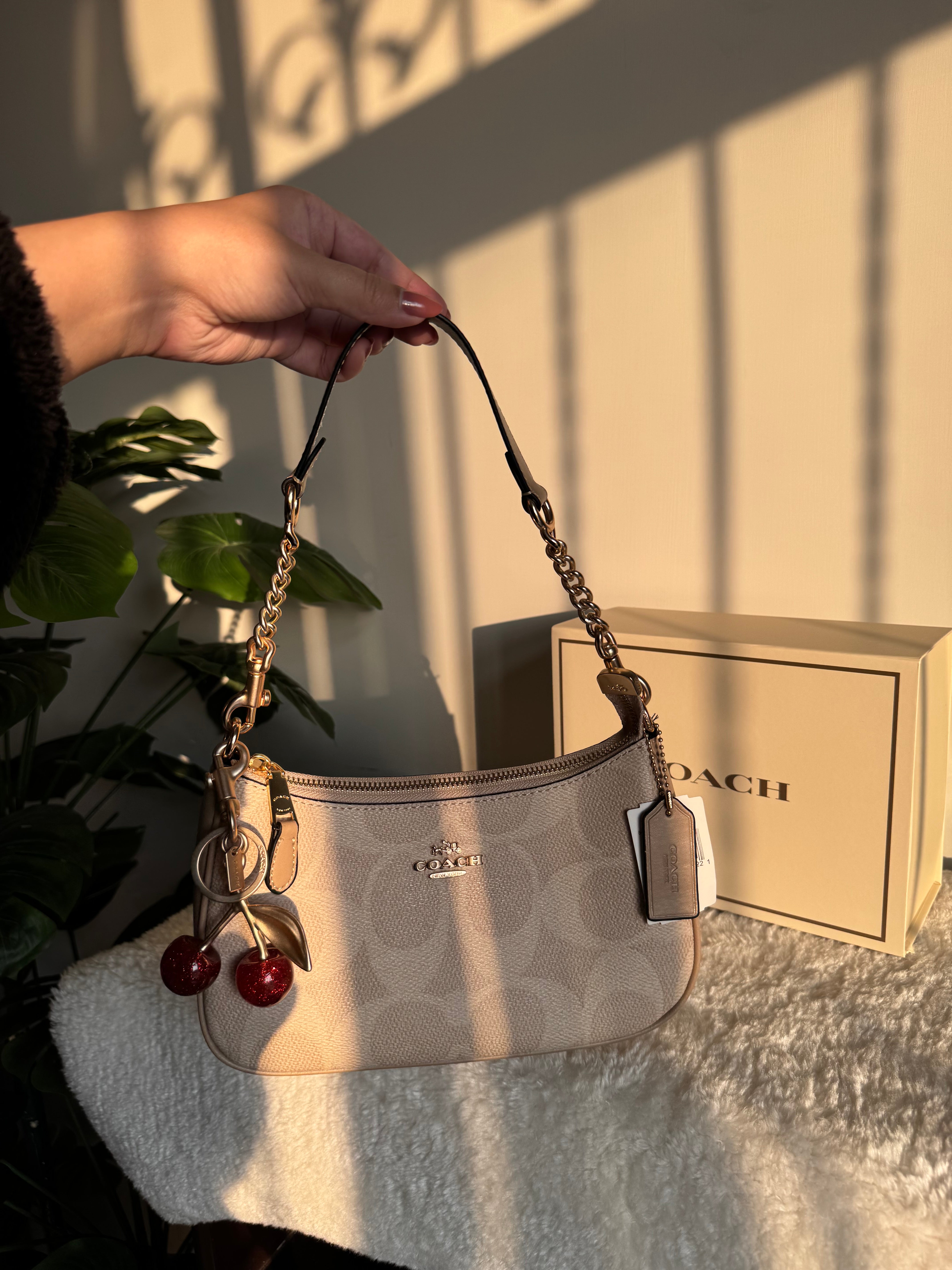 COACH TERI PREMIUM with Coach Cherry Charm (Beige) - BOX PACKING