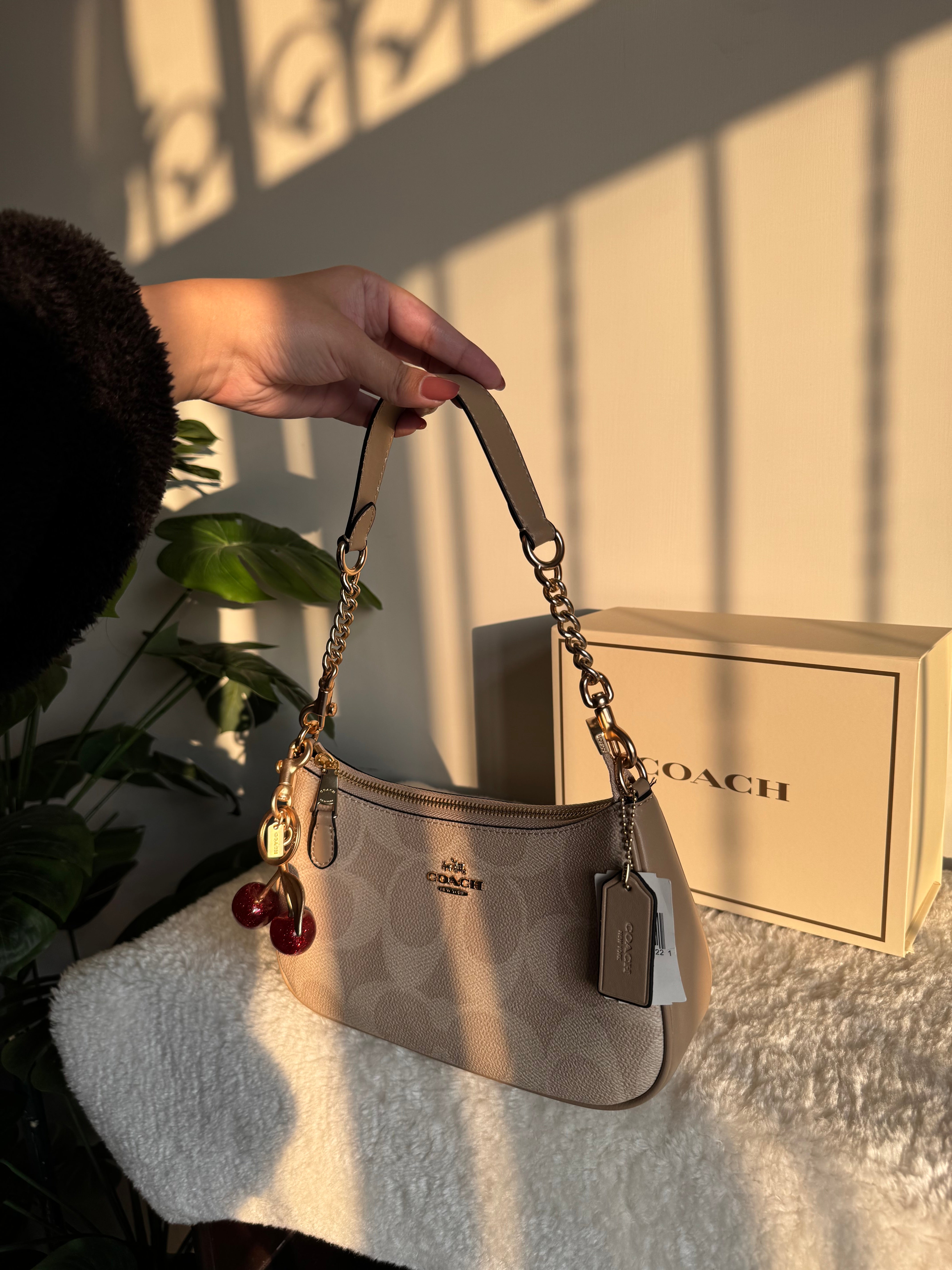 COACH TERI PREMIUM with Coach Cherry Charm (Beige) - BOX PACKING
