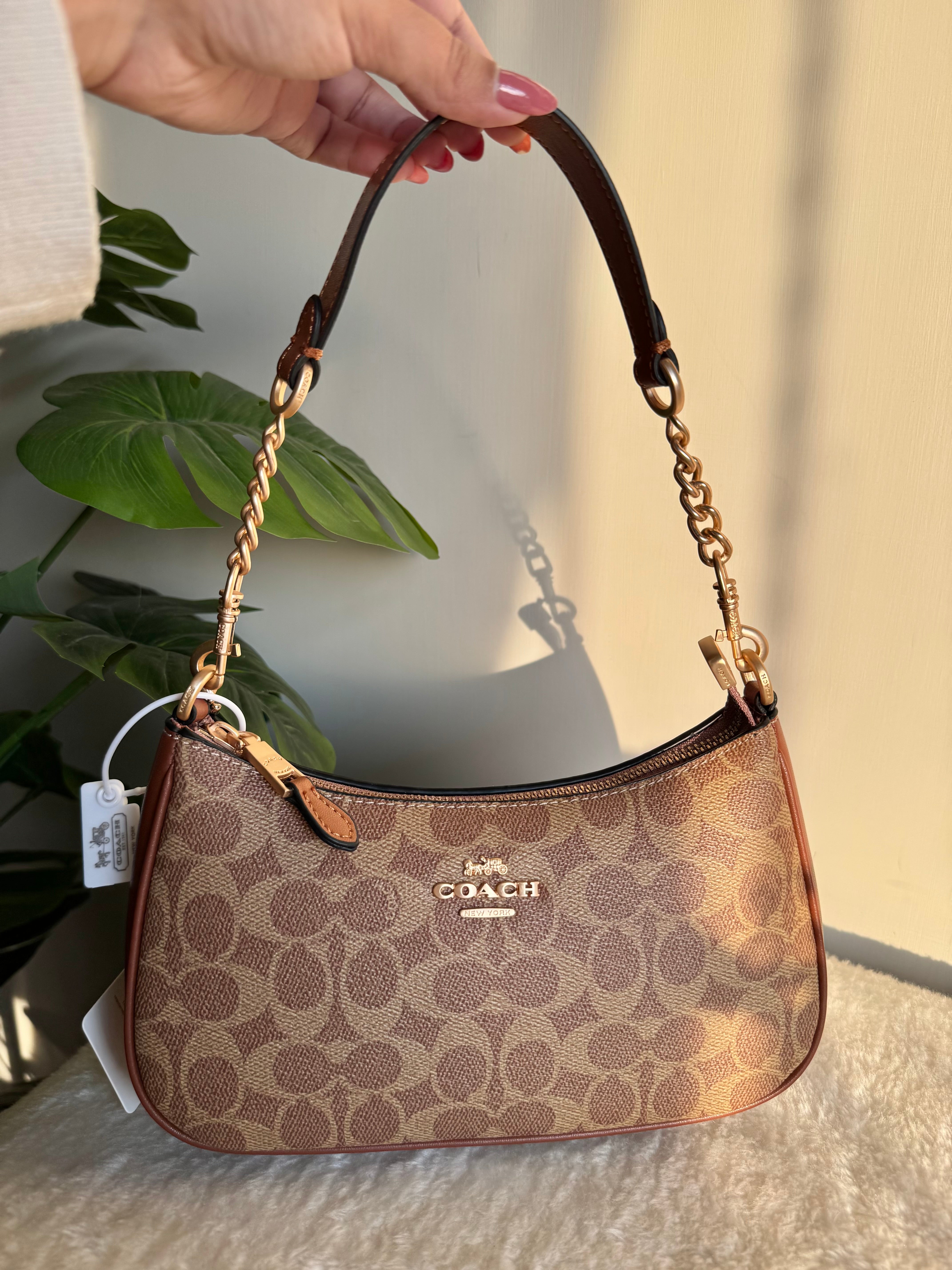 COACH TERI PREMIUM (Apricot Brown) - BOX PACKING