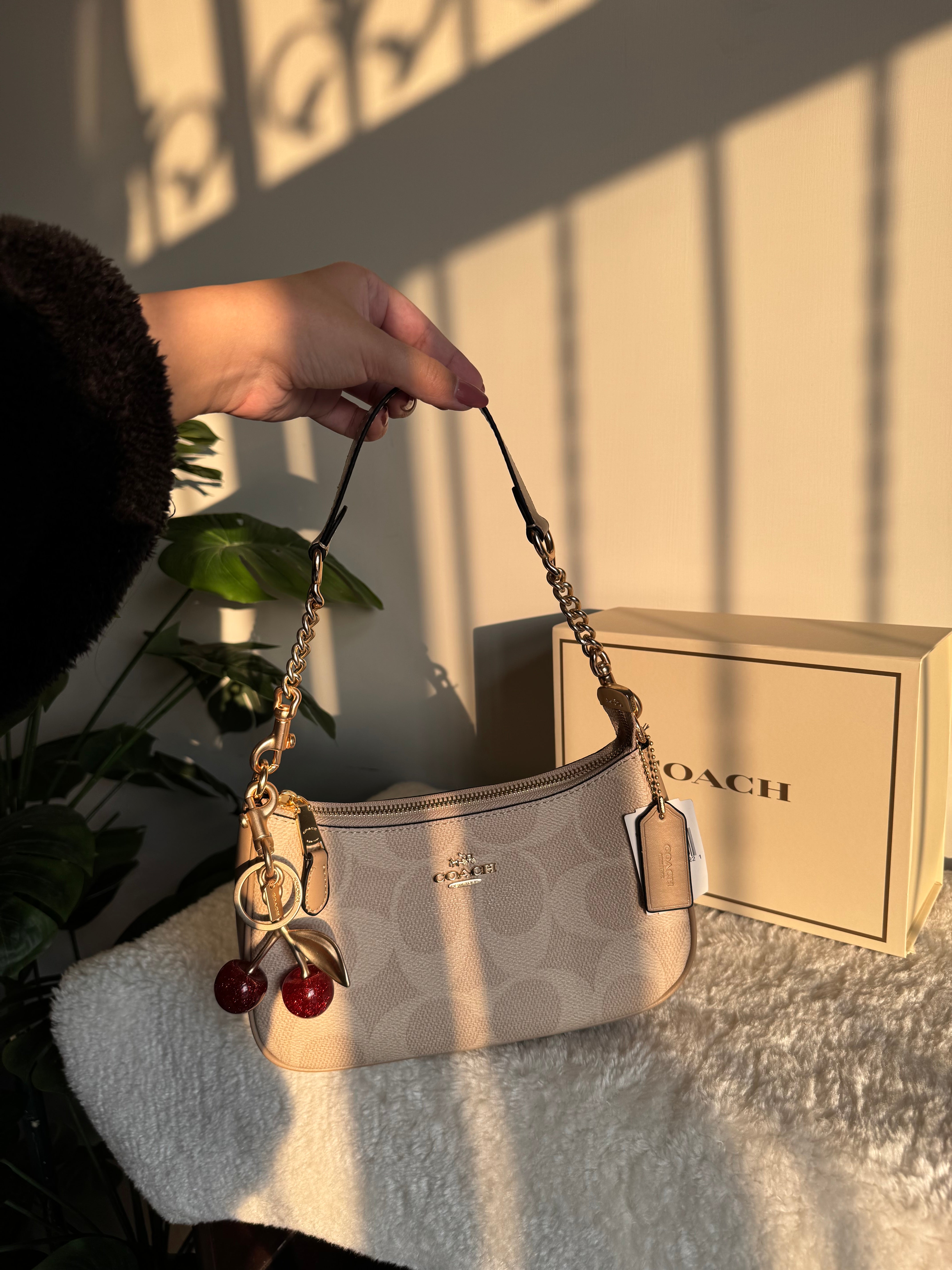 COACH TERI PREMIUM with Coach Cherry Charm (Beige) - BOX PACKING