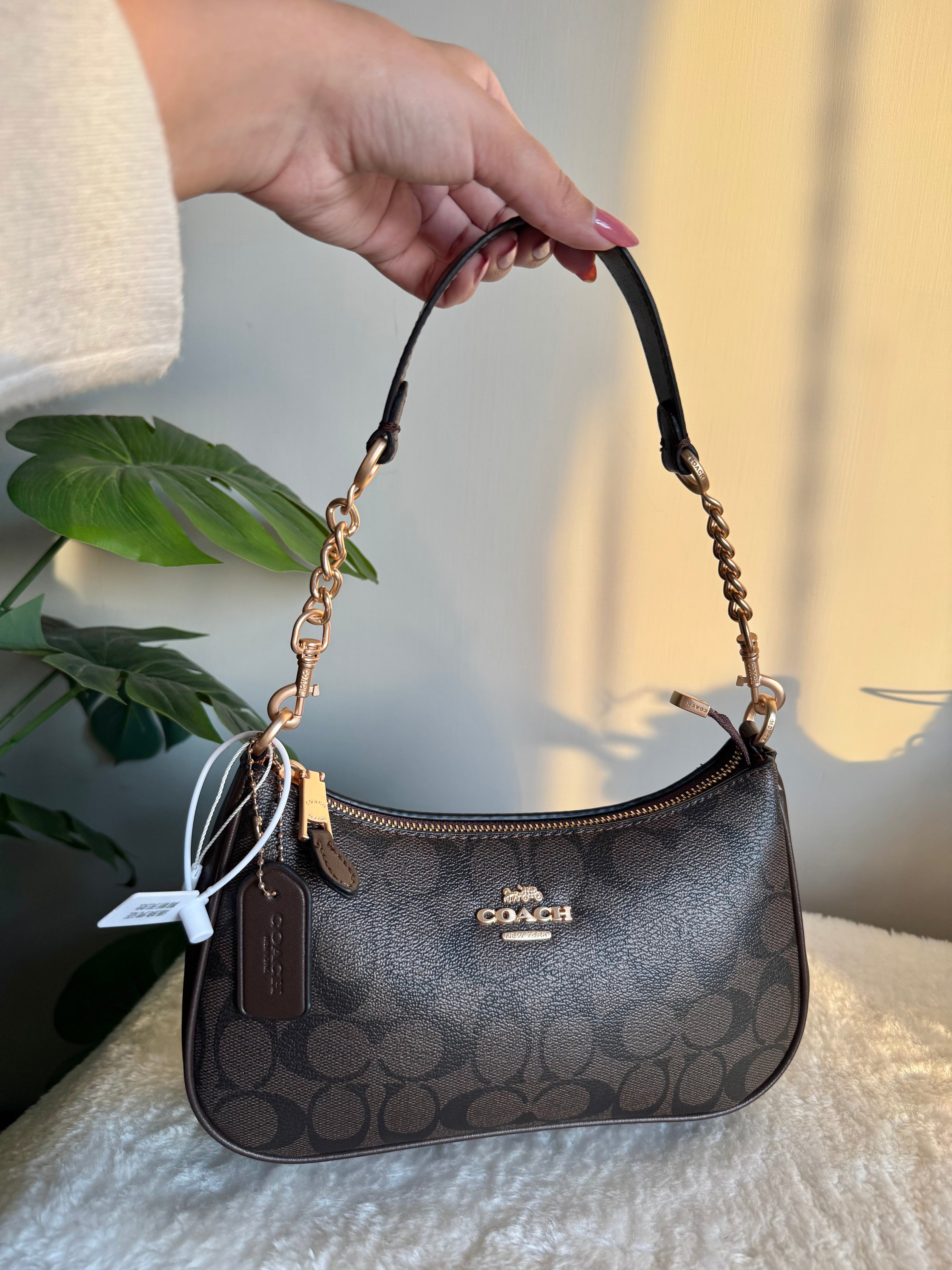 COACH TERI PREMIUM (Signature Brown) - BOX PACKING