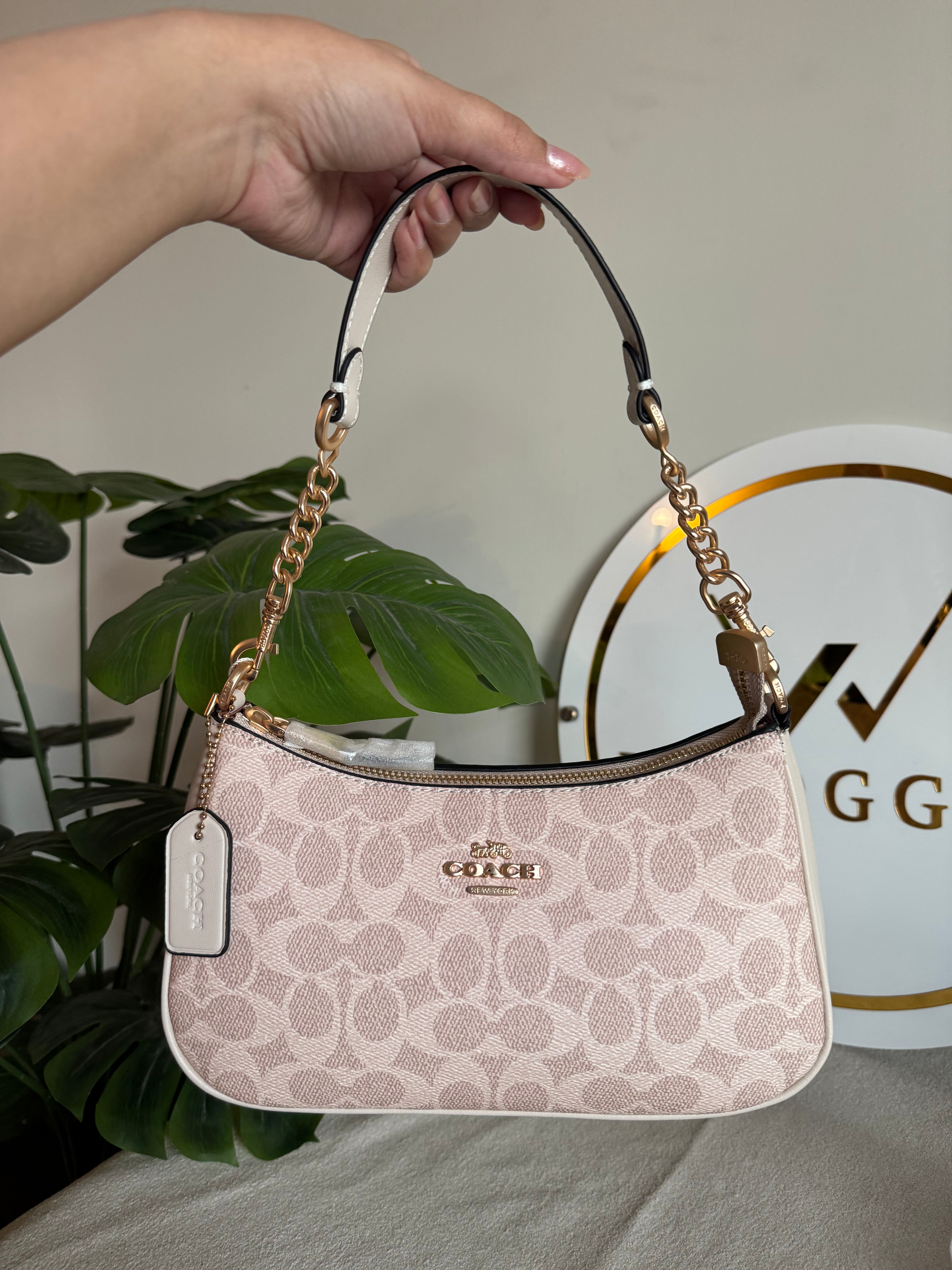 COACH TERI PREMIUM (Beige) - BOX PACKING