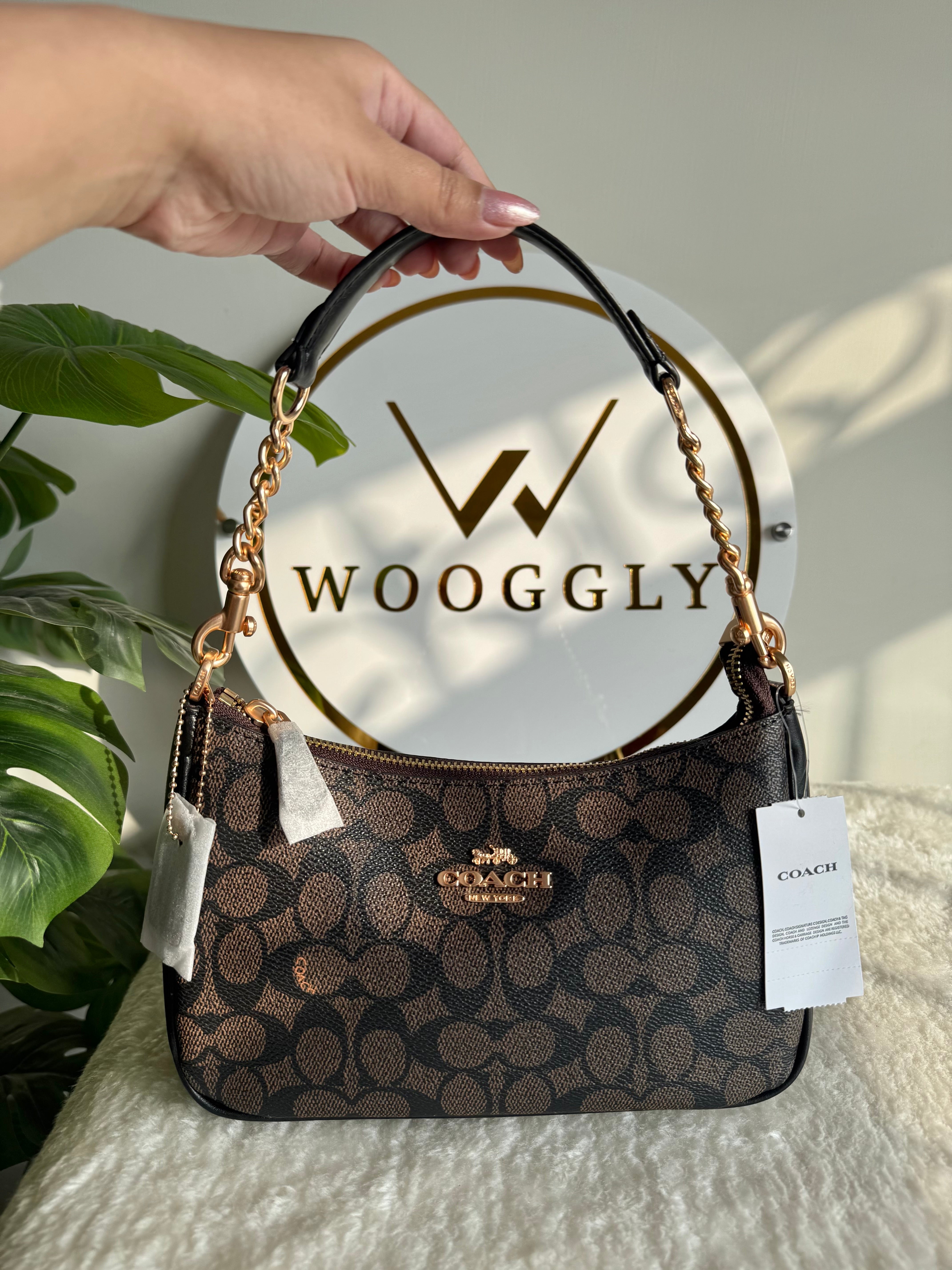 COACH TERI PREMIUM (Signature Brown) - MAGNETIC BOX PACKING