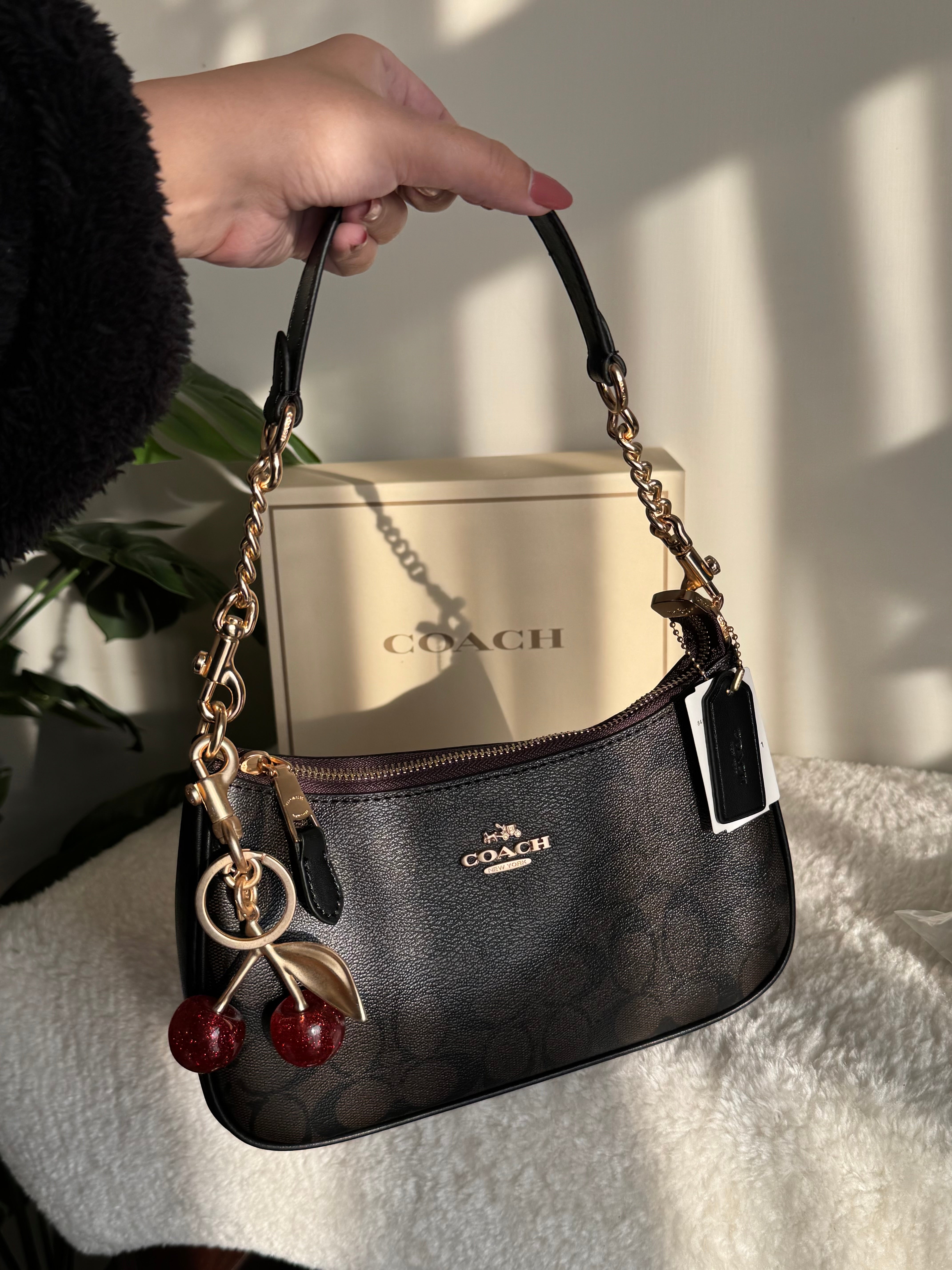 COACH TERI PREMIUM with Coach Cherry Charm (Brown) - BOX PACKING