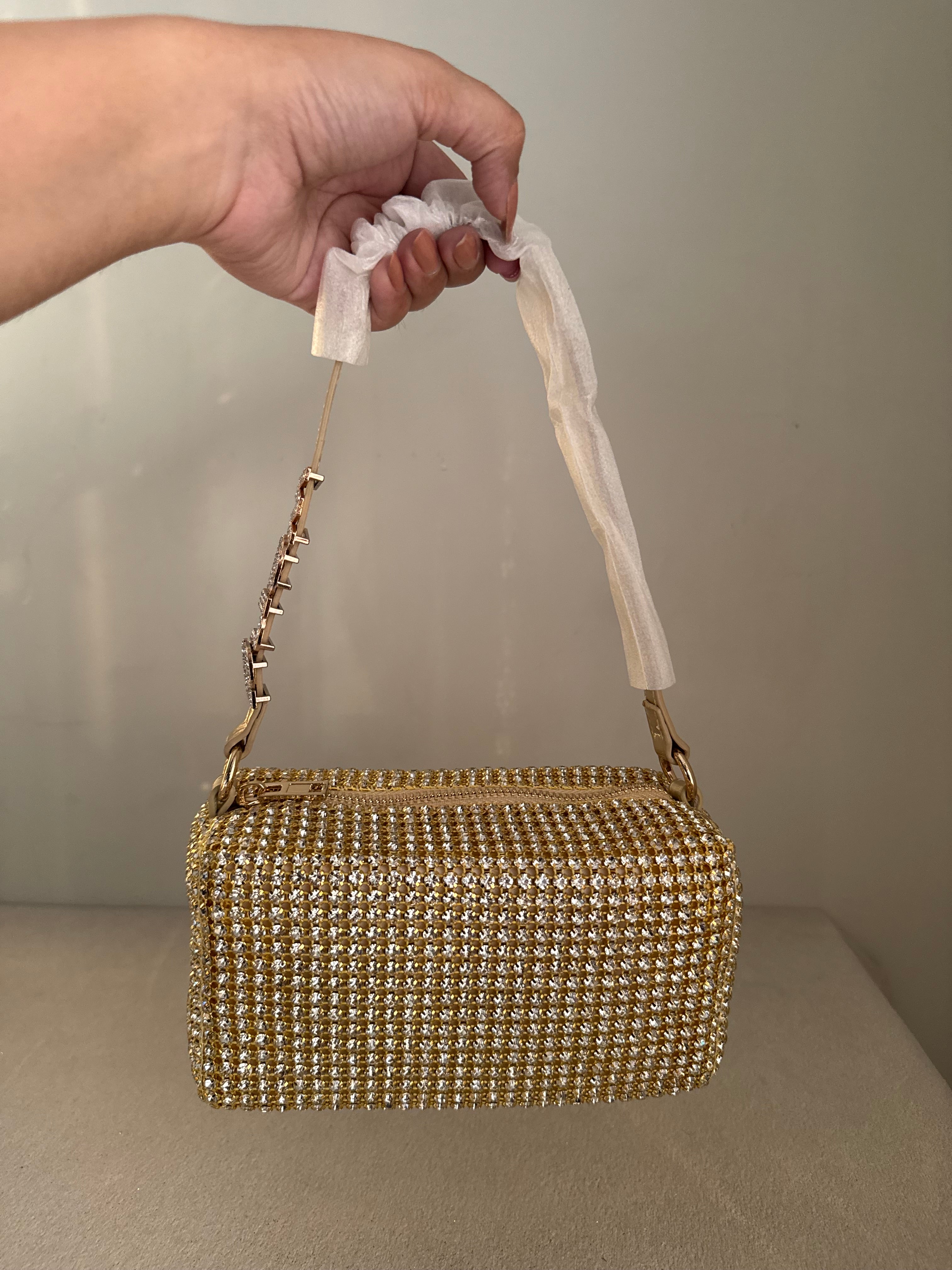 Alexander Wang Rhinestone Evening Clutch (Champagne)