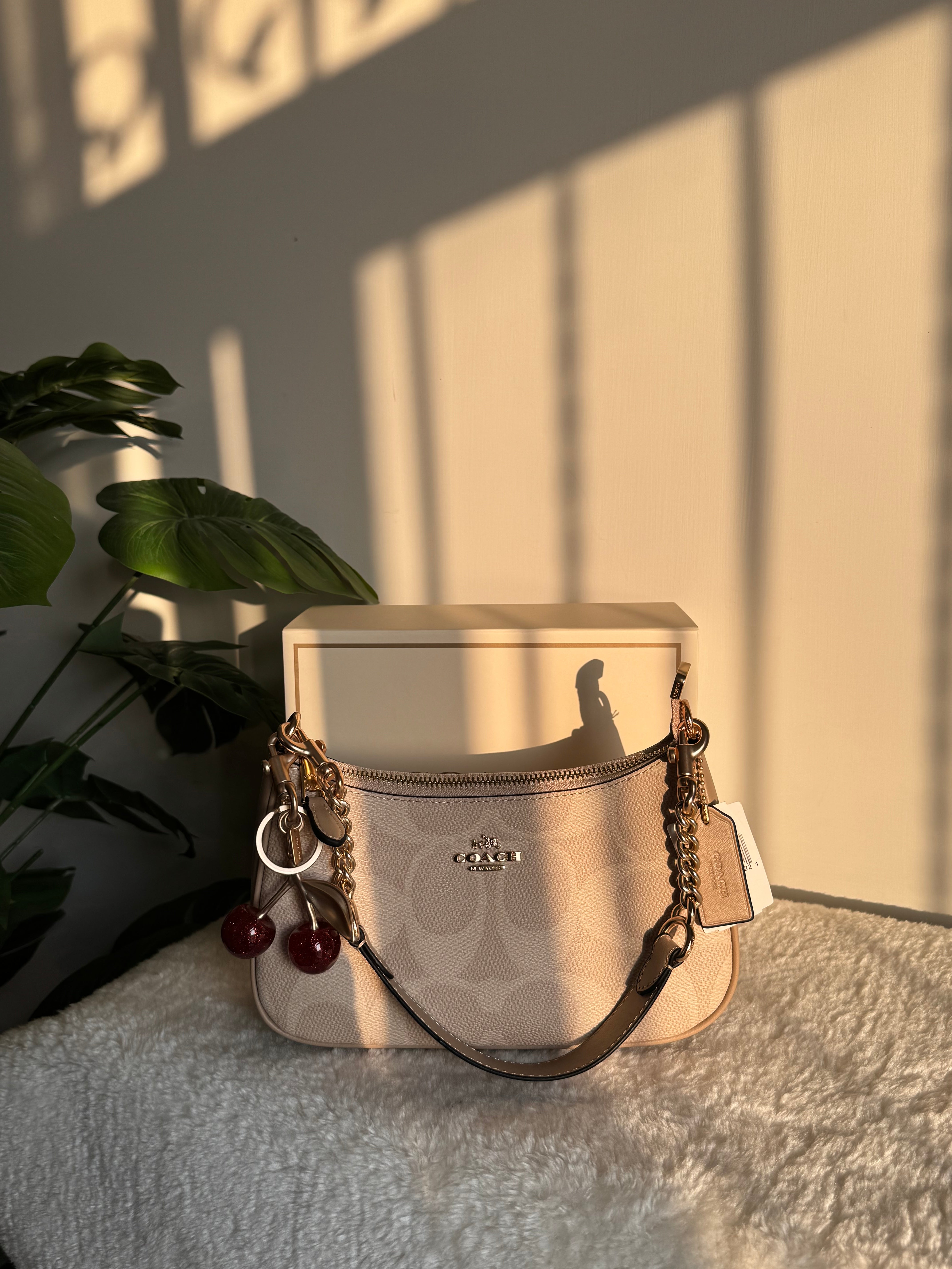 COACH TERI PREMIUM with Coach Cherry Charm (Beige) - BOX PACKING