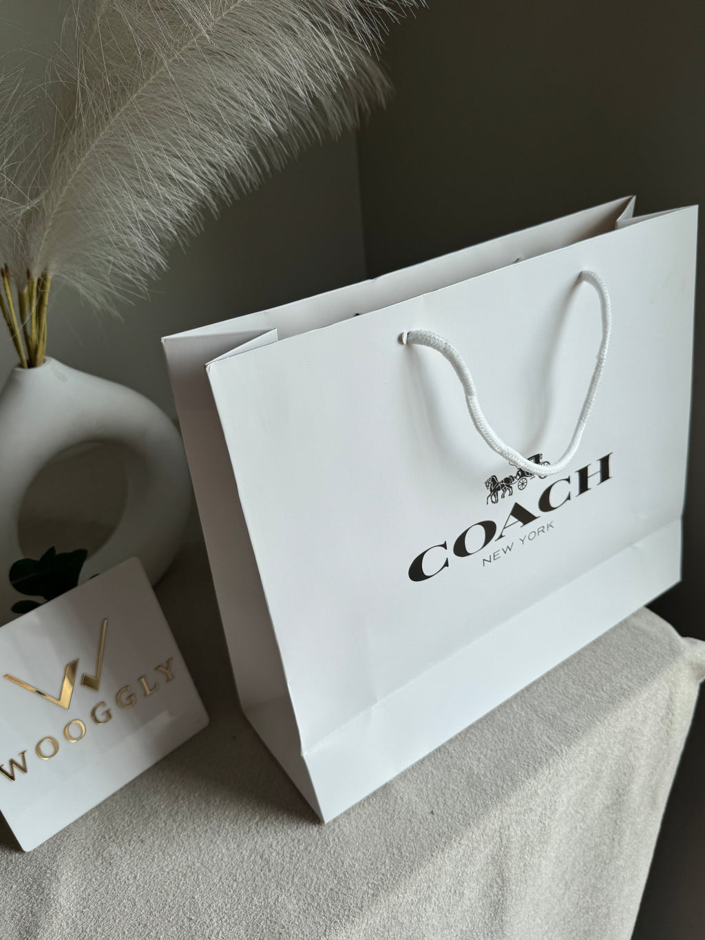 Gift Bag - Coach - Medium (ONLY FOR PICK UP OR INDRIVE CUSTOMERS IN LAHORE)