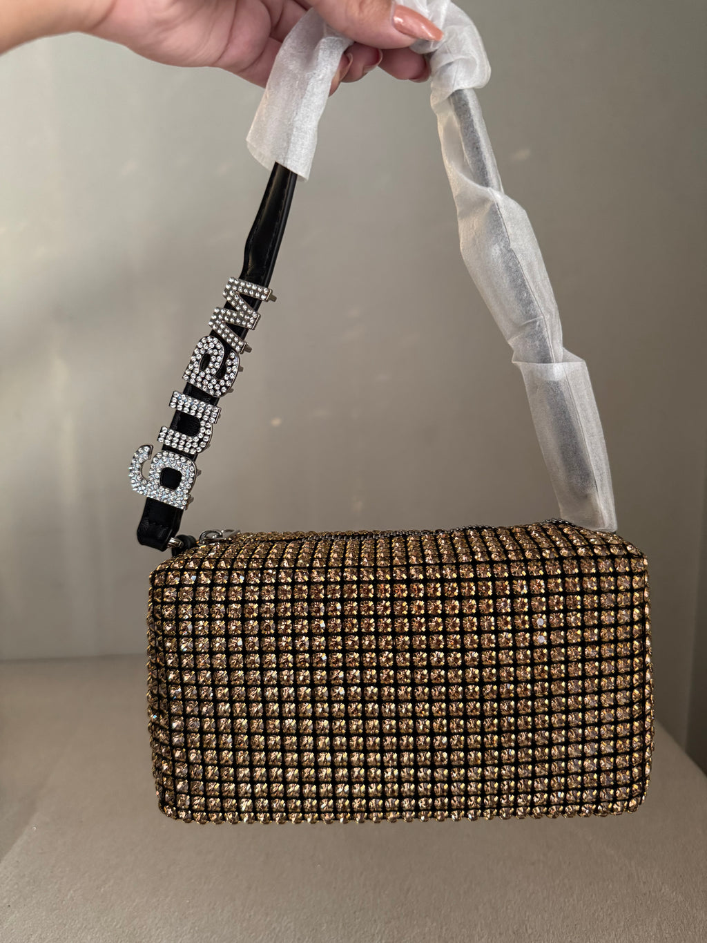 Alexander Wang Rhinestone Evening Clutch (Champagne & Black)