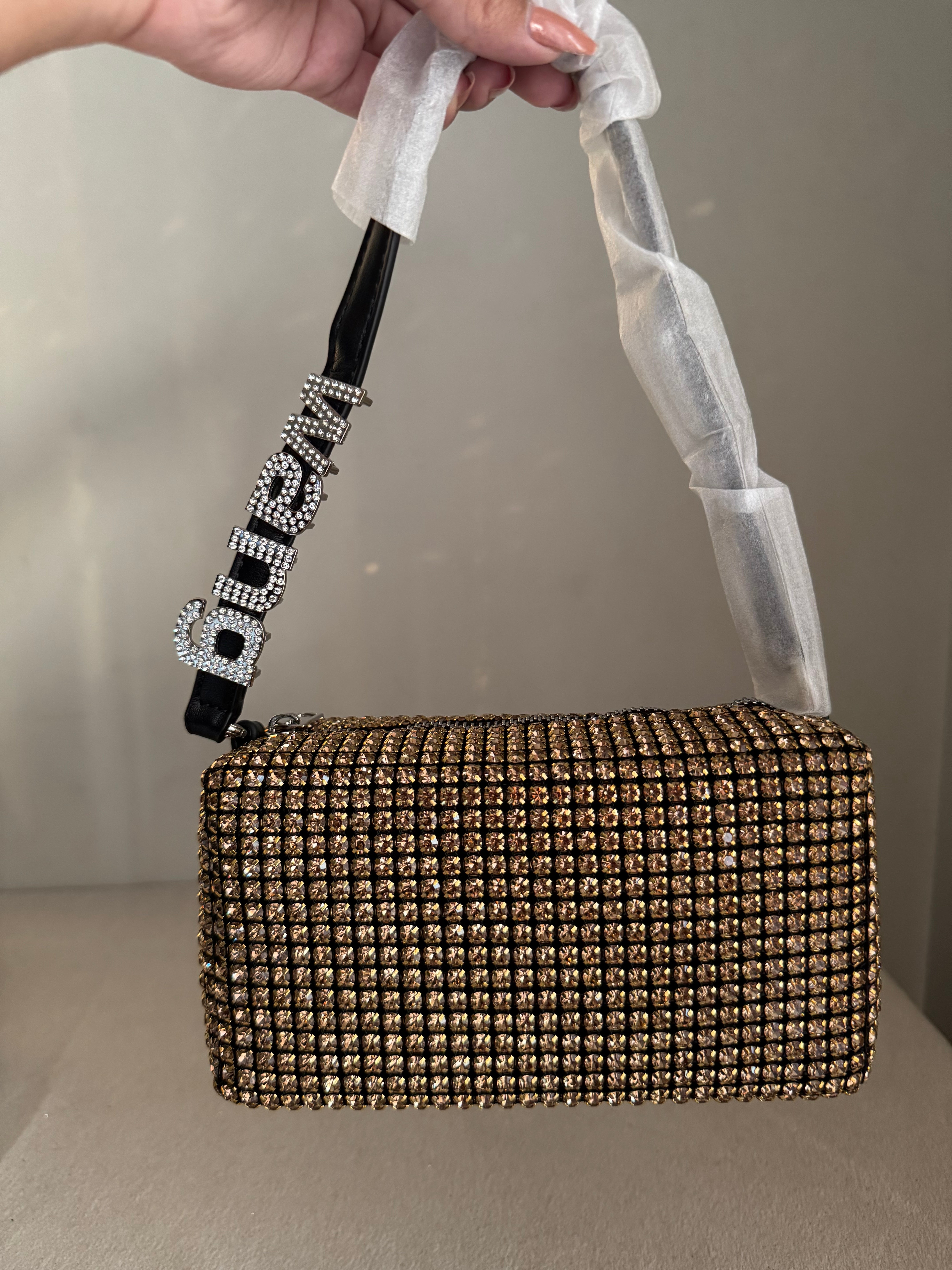 Alexander Wang Rhinestone Evening Clutch (Champagne & Black)