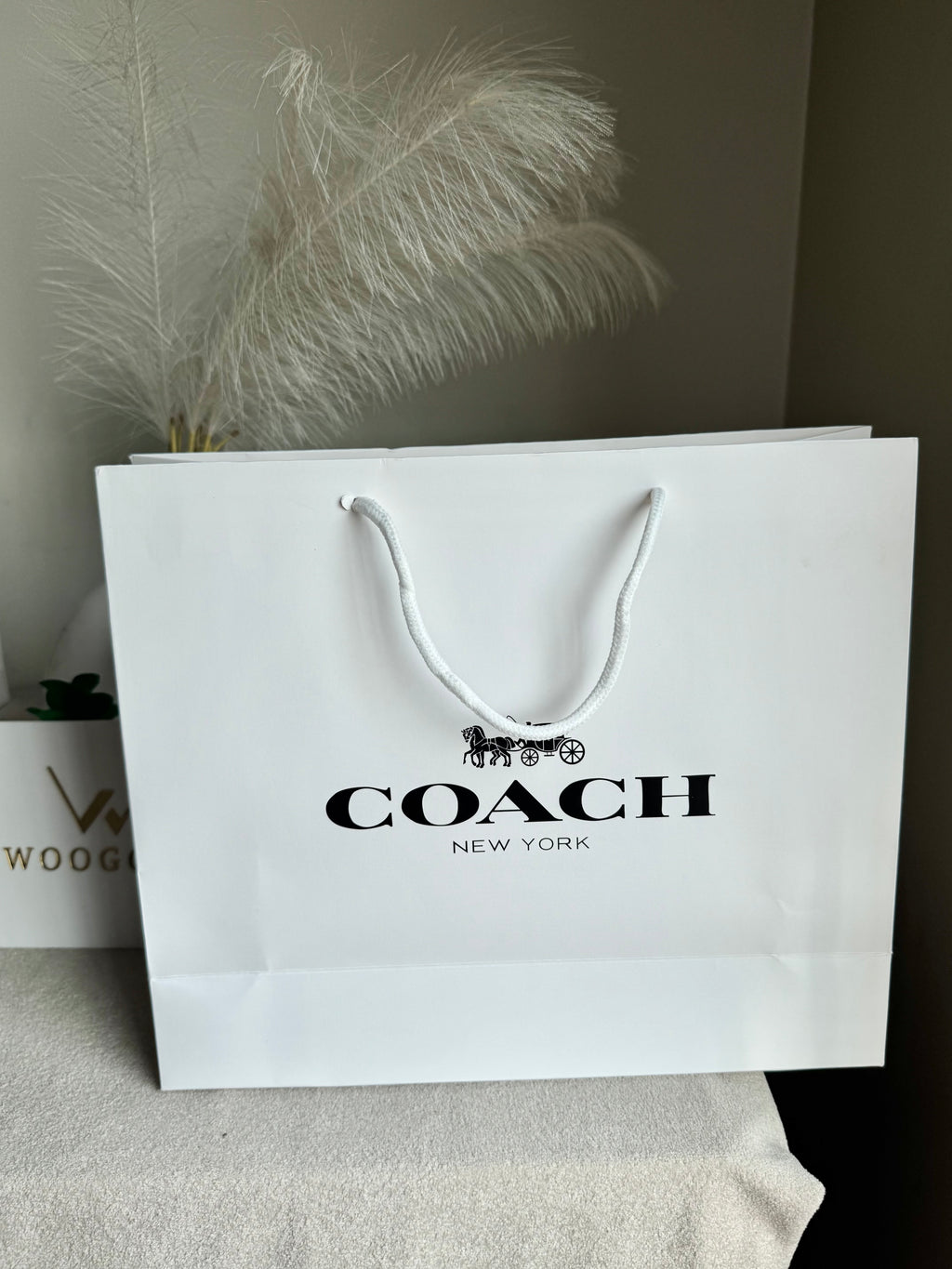 Gift Bag - Coach - Medium (ONLY FOR PICK UP OR INDRIVE CUSTOMERS IN LAHORE)