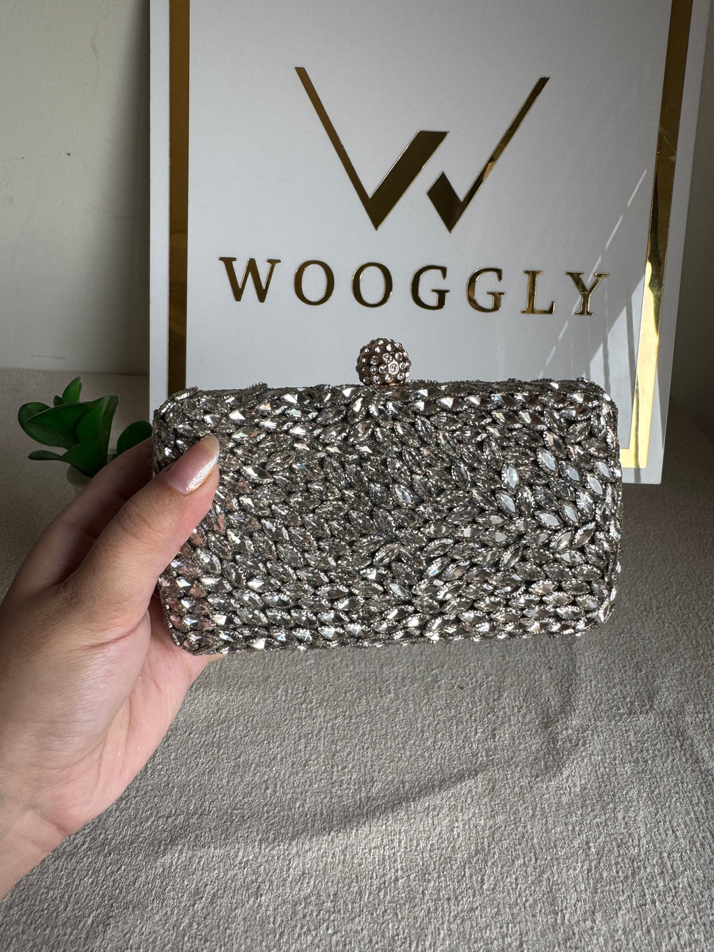 Alyzeh Clutch (Silver)