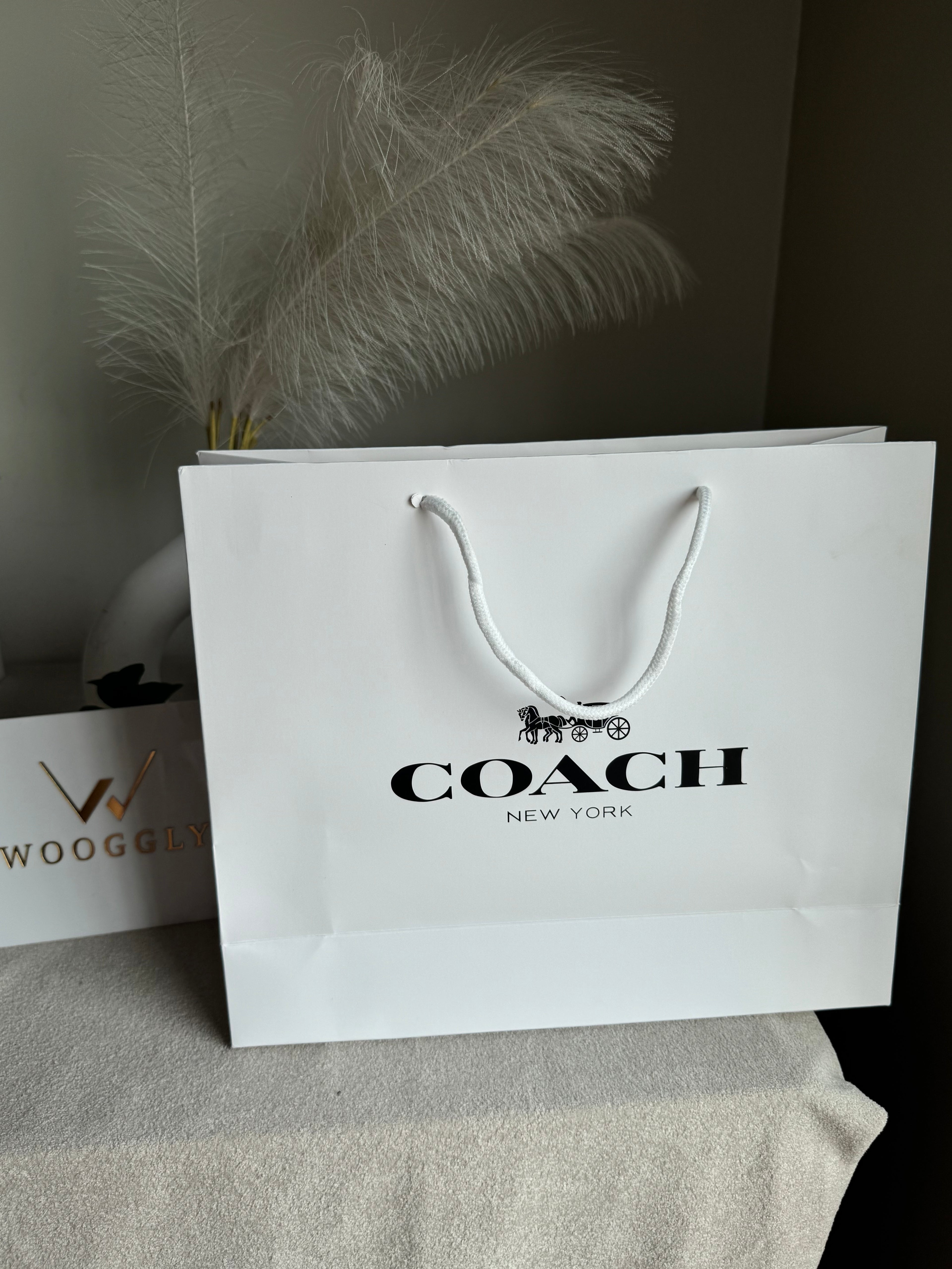 Gift Bag - Coach - Medium (ONLY FOR PICK UP OR INDRIVE CUSTOMERS IN LAHORE)