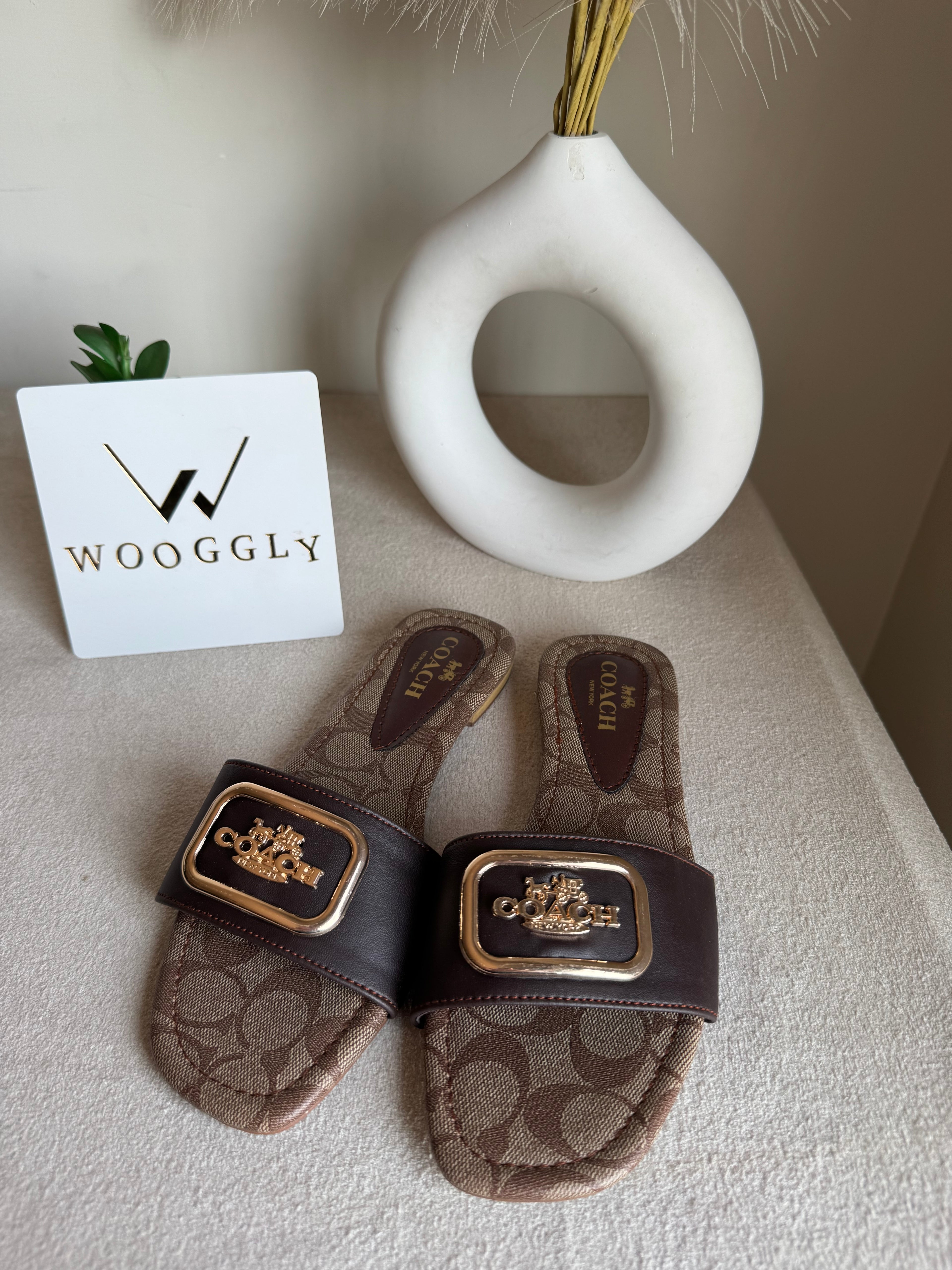 Minimal Coach Slides - Signature Brown