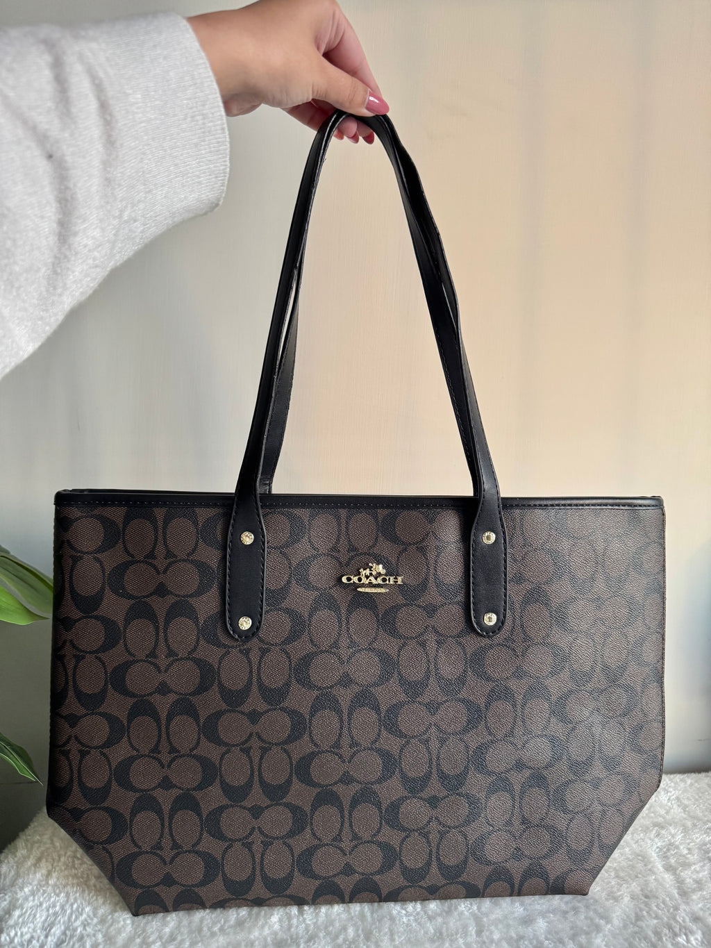 COACH TOTE BAG PREMIUM (Signature Brown) - BOX PACKING