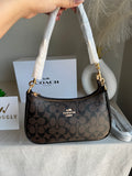COACH TERI PREMIUM (Coffee) - BOX PACKING