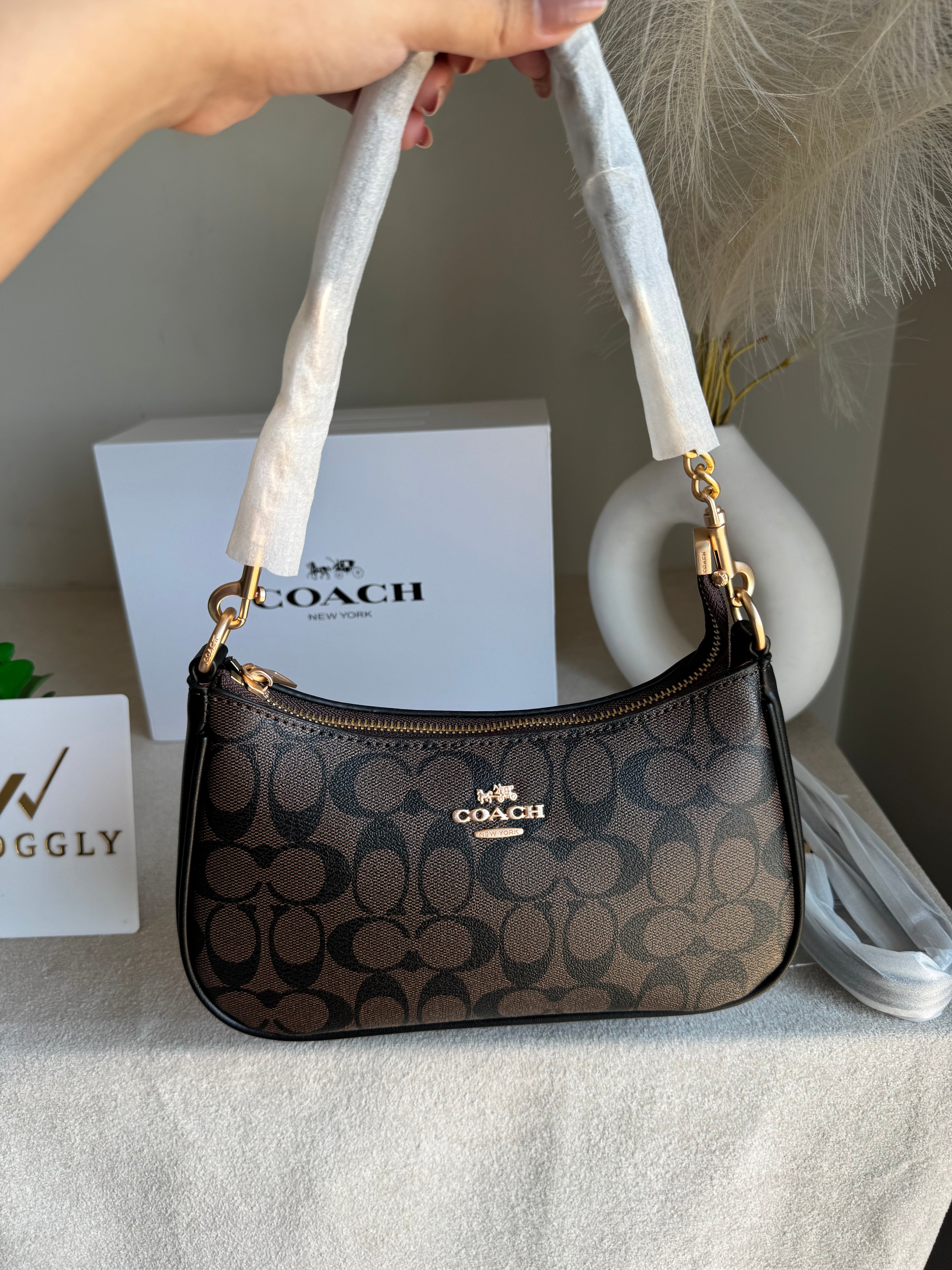 COACH TERI PREMIUM (Coffee) - BOX PACKING