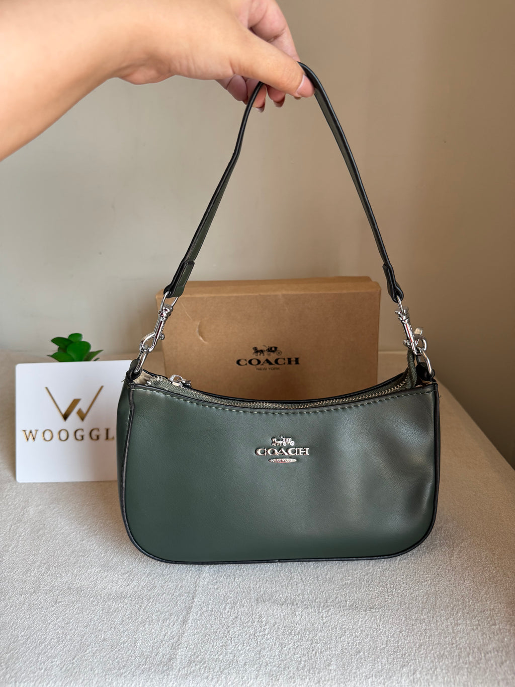 COACH TERI PREMIUM (Olive) - BOX PACKING