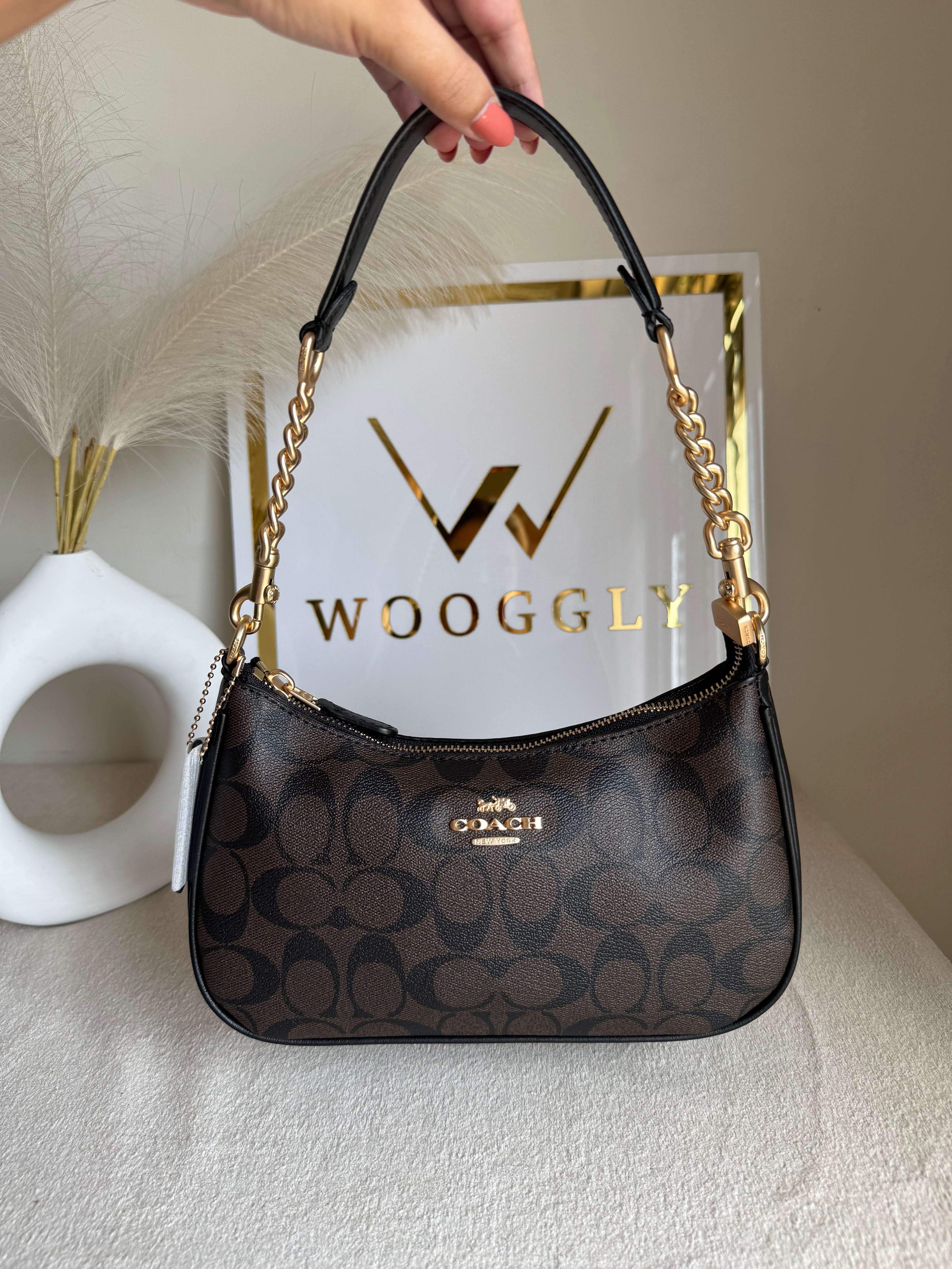 COACH TERI PREMIUM (Signature Brown) - MAGNETIC BOX PACKING