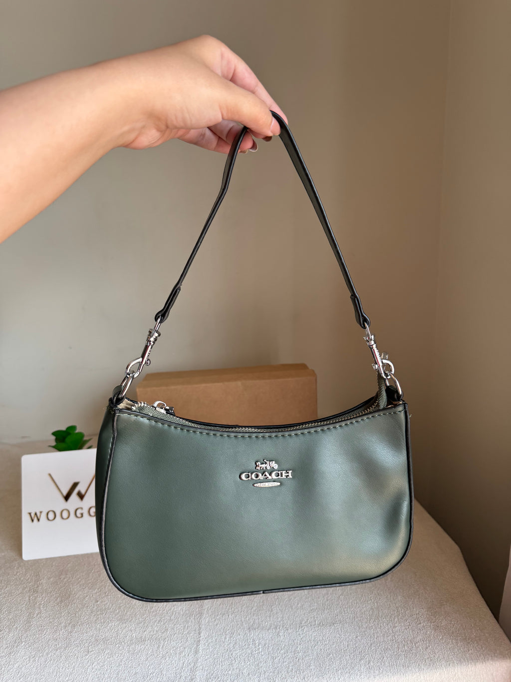 COACH TERI PREMIUM (Olive) - BOX PACKING