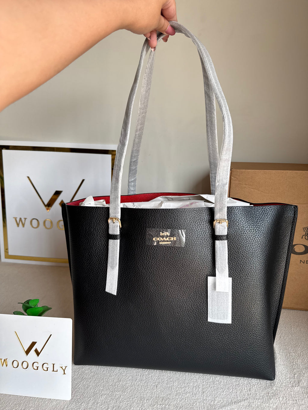 EXTREMELY PREMIUM COACH Mollie Tote Bag - Black (BOX PACKING)