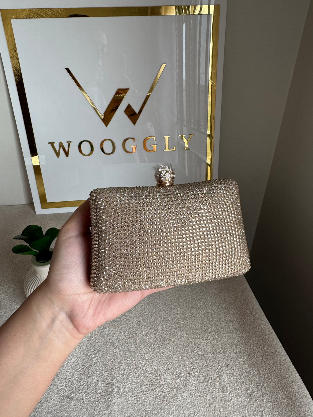 Icon Clutch Ivory