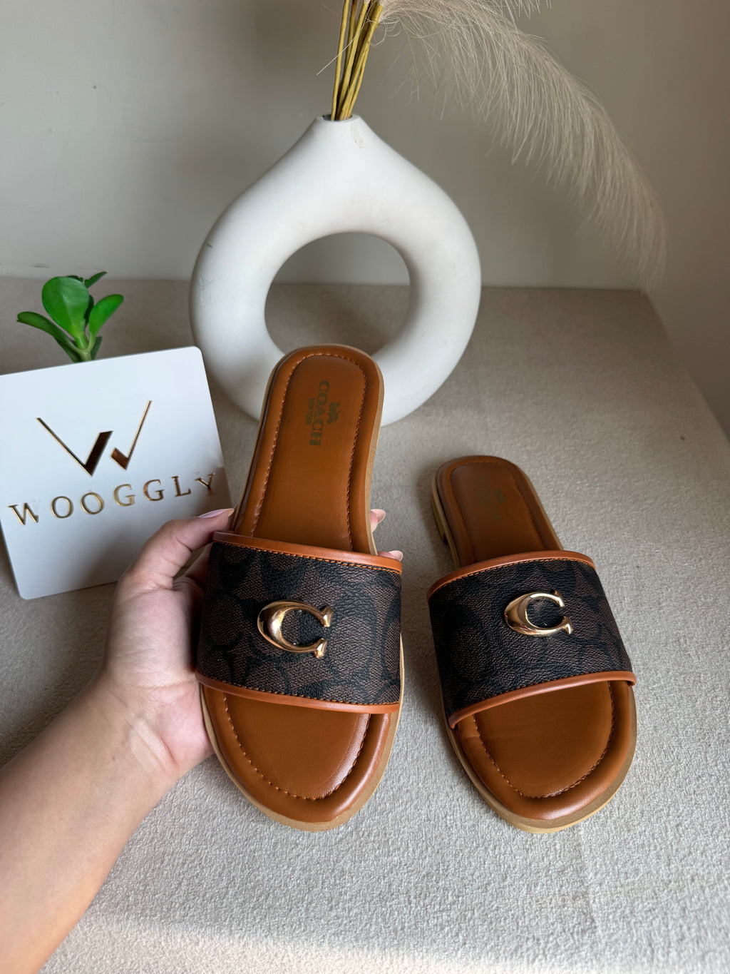 Viral Coach Slides Brown