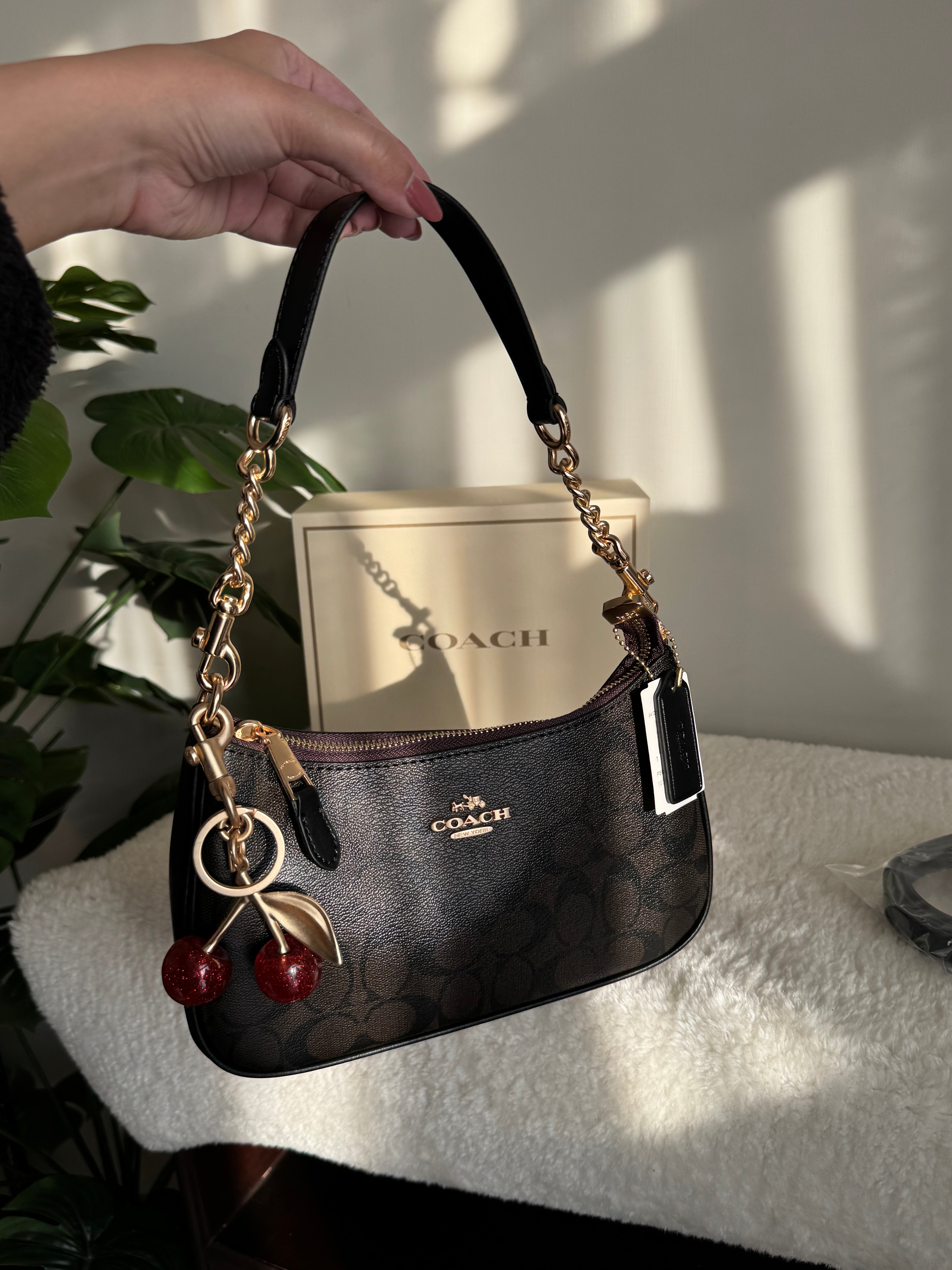 COACH TERI PREMIUM with Coach Cherry Charm (Brown) - BOX PACKING