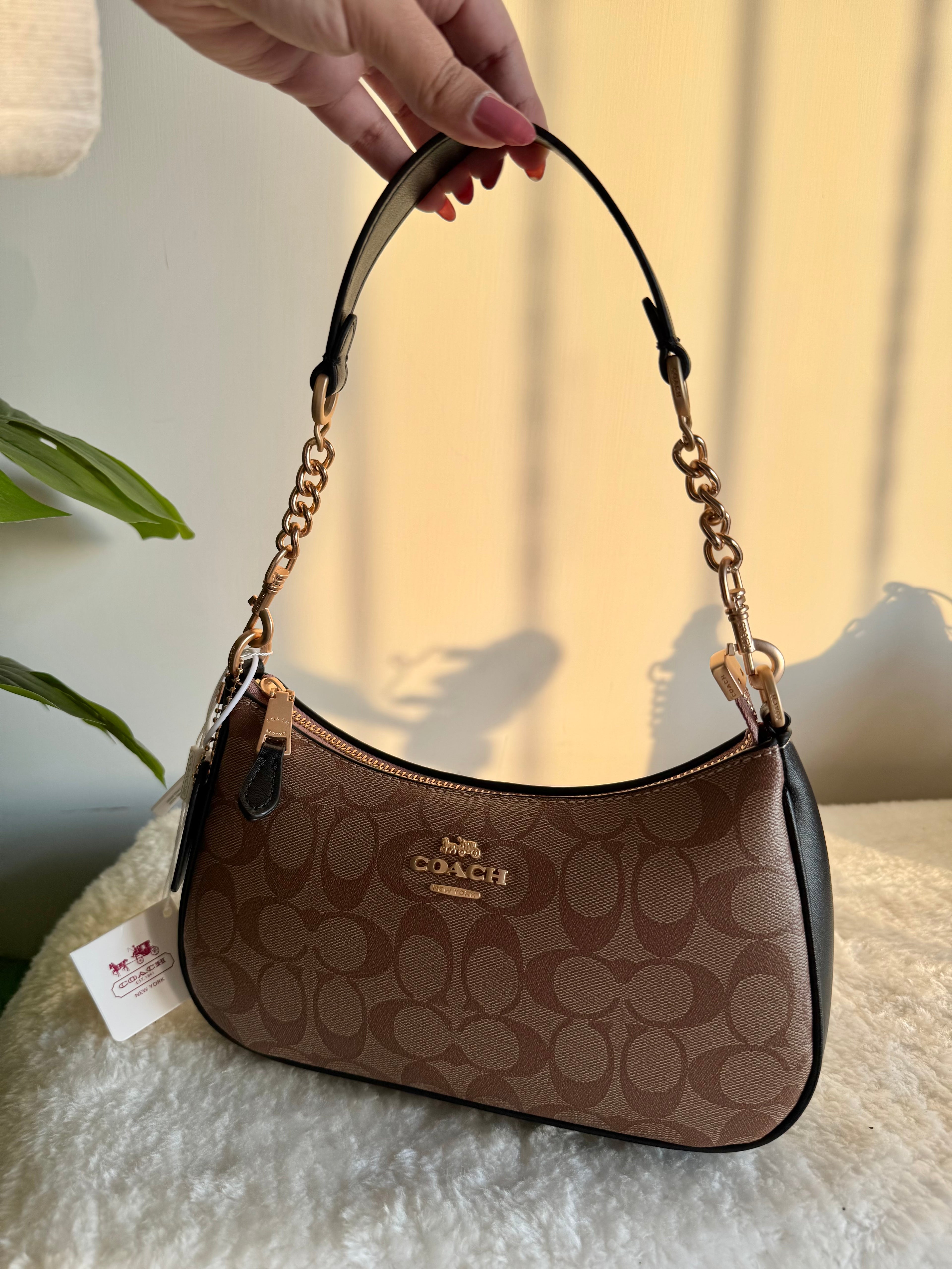 COACH TERI PREMIUM (Apricot Black) - BOX PACKING