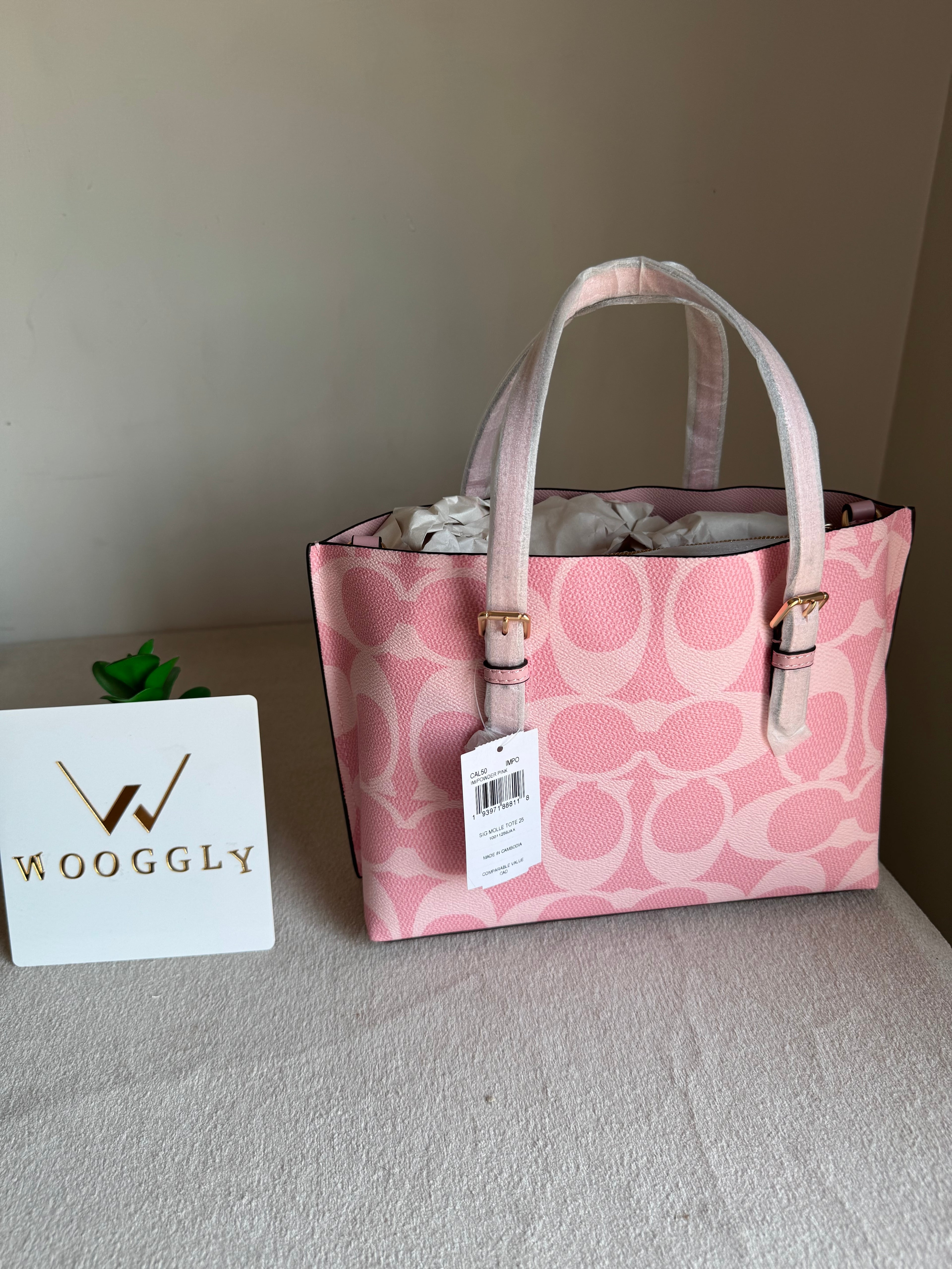 COACH Mini Mollie Tote Pink - BOX PACKING