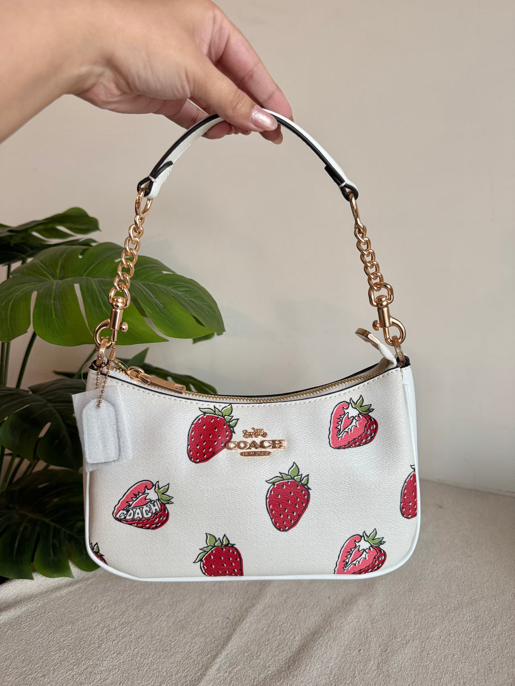 COACH TERI Limited Time Strawberry Shortcake - BOX PACKING