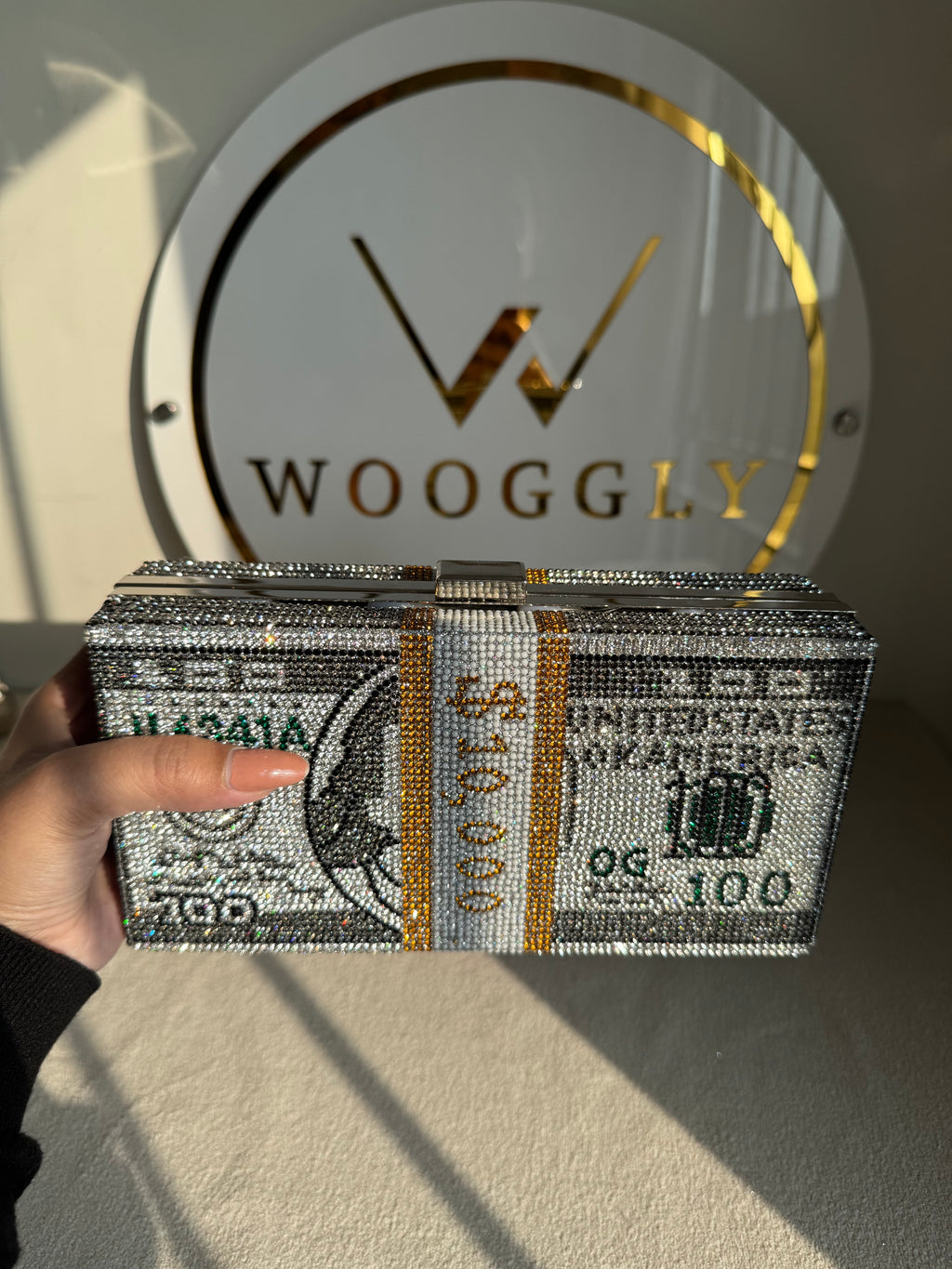 Premium Dollar Clutch - Silver with Chain