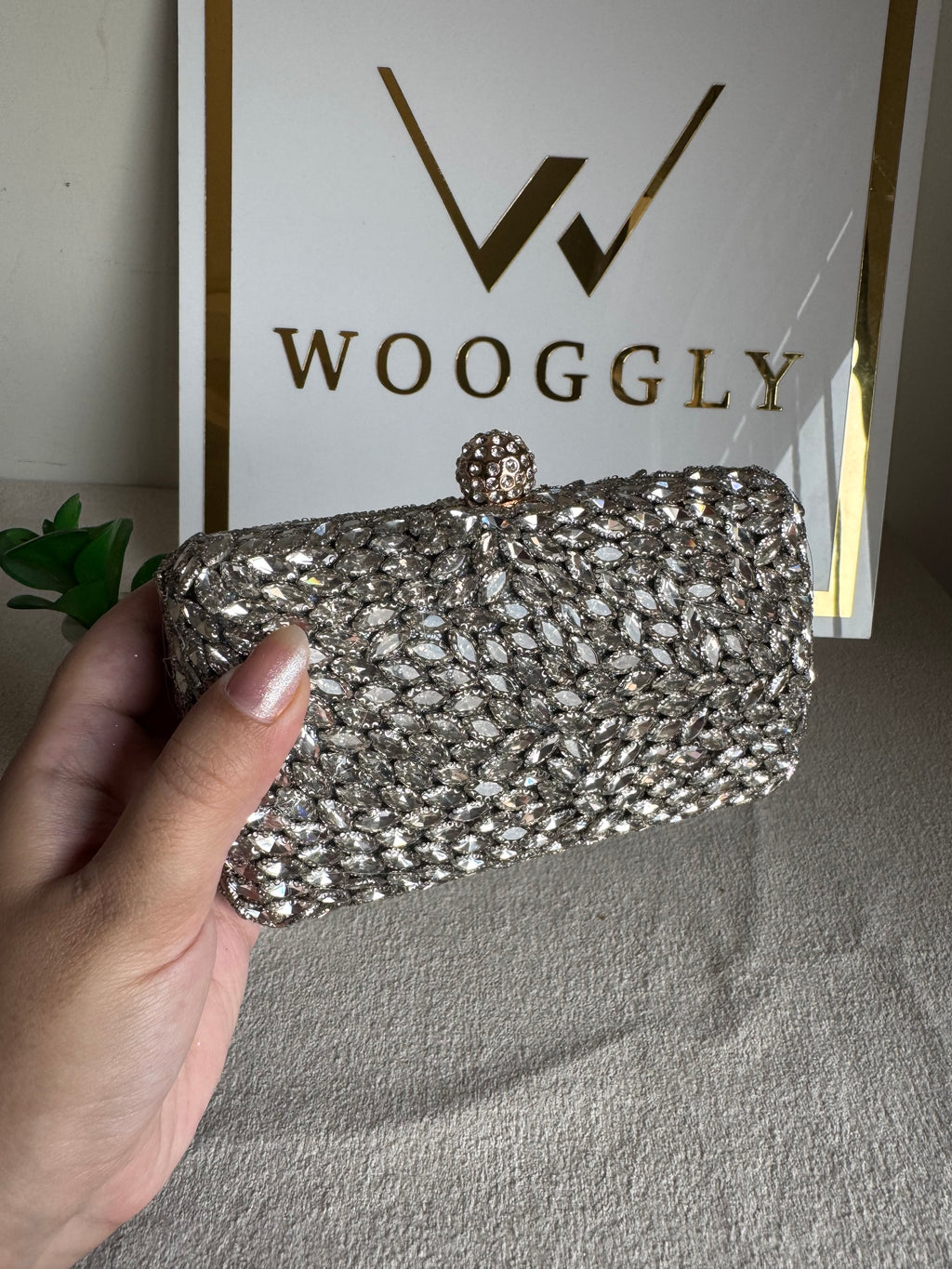 Alyzeh Clutch (Silver)