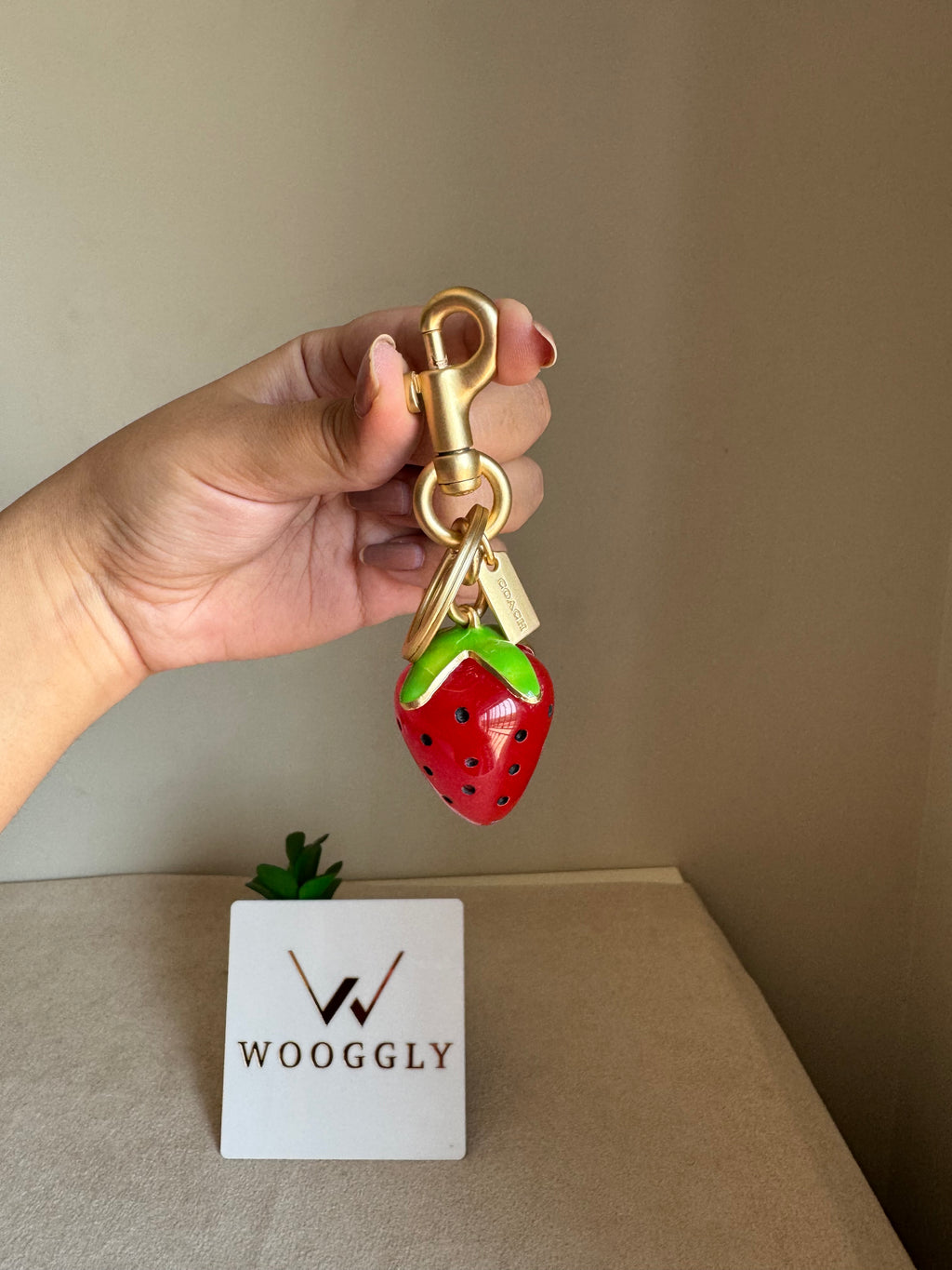 Premium Coach Strawberry Bag Charm