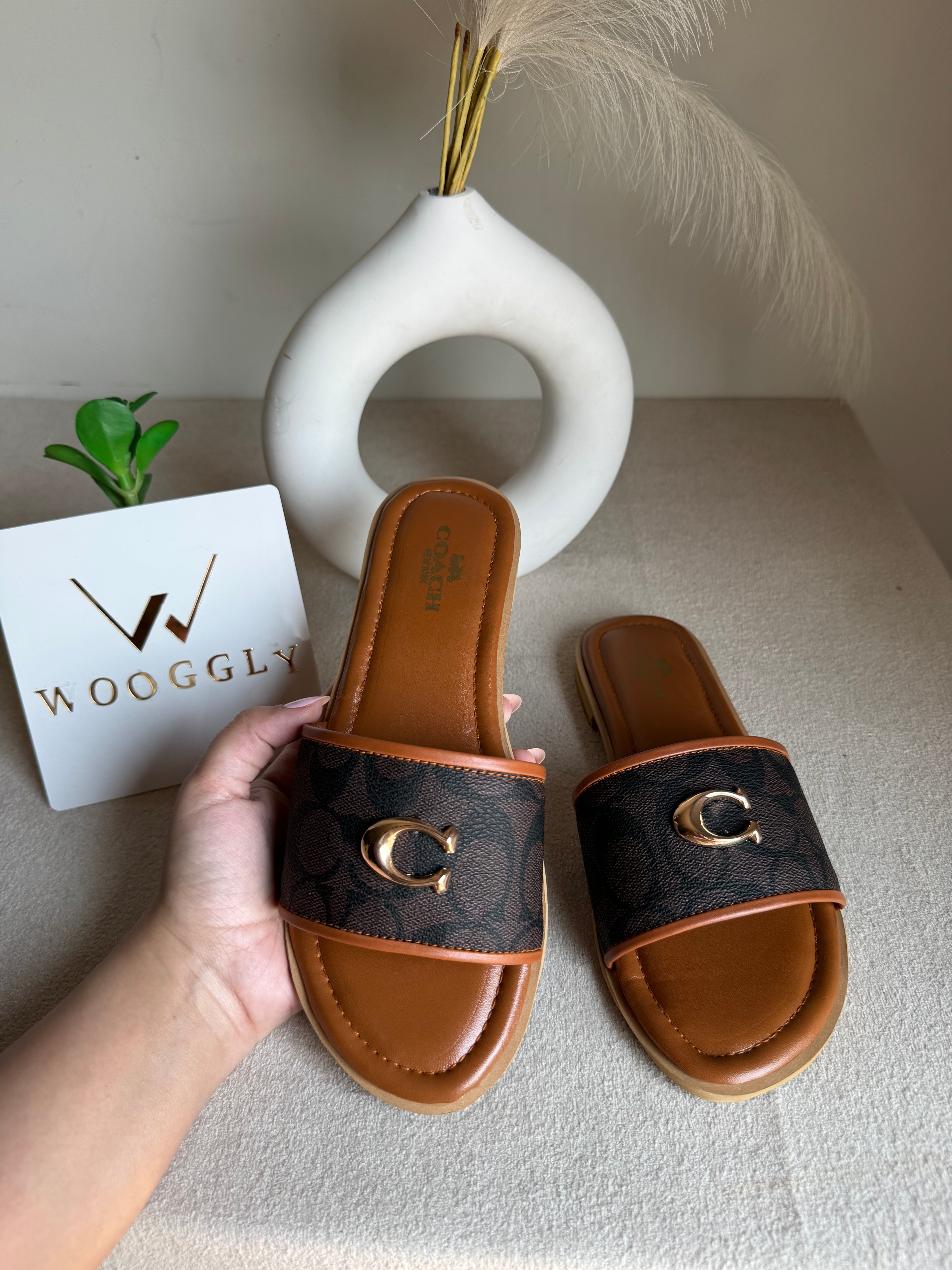 Viral Coach Slides Brown