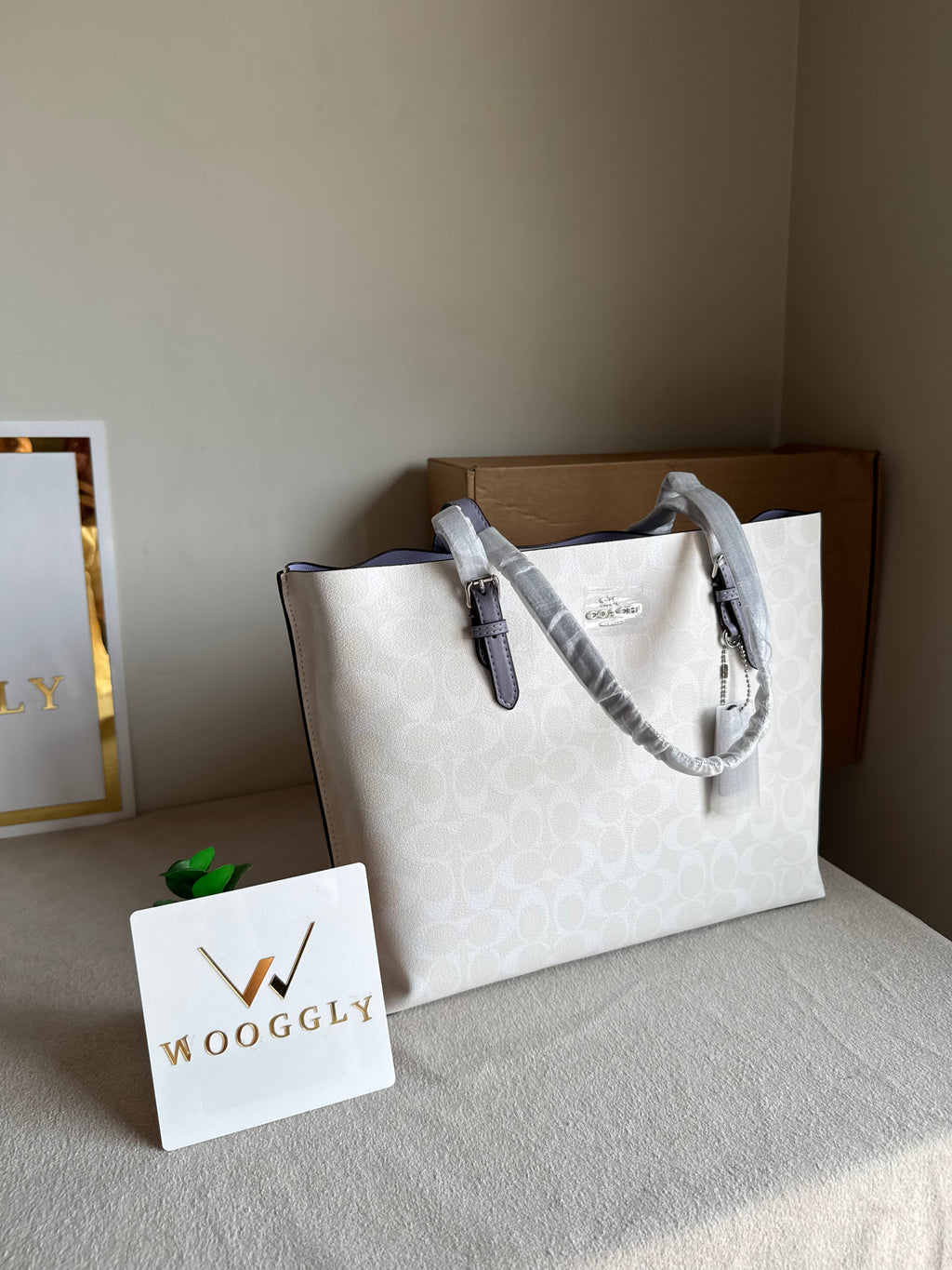 EXTREMELY PREMIUM COACH Mollie Tote Bag - Signature White & Lilac (BOX PACKING)