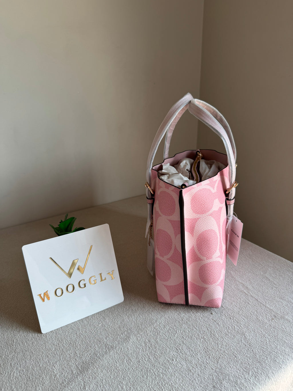 COACH Mini Mollie Tote Pink - BOX PACKING