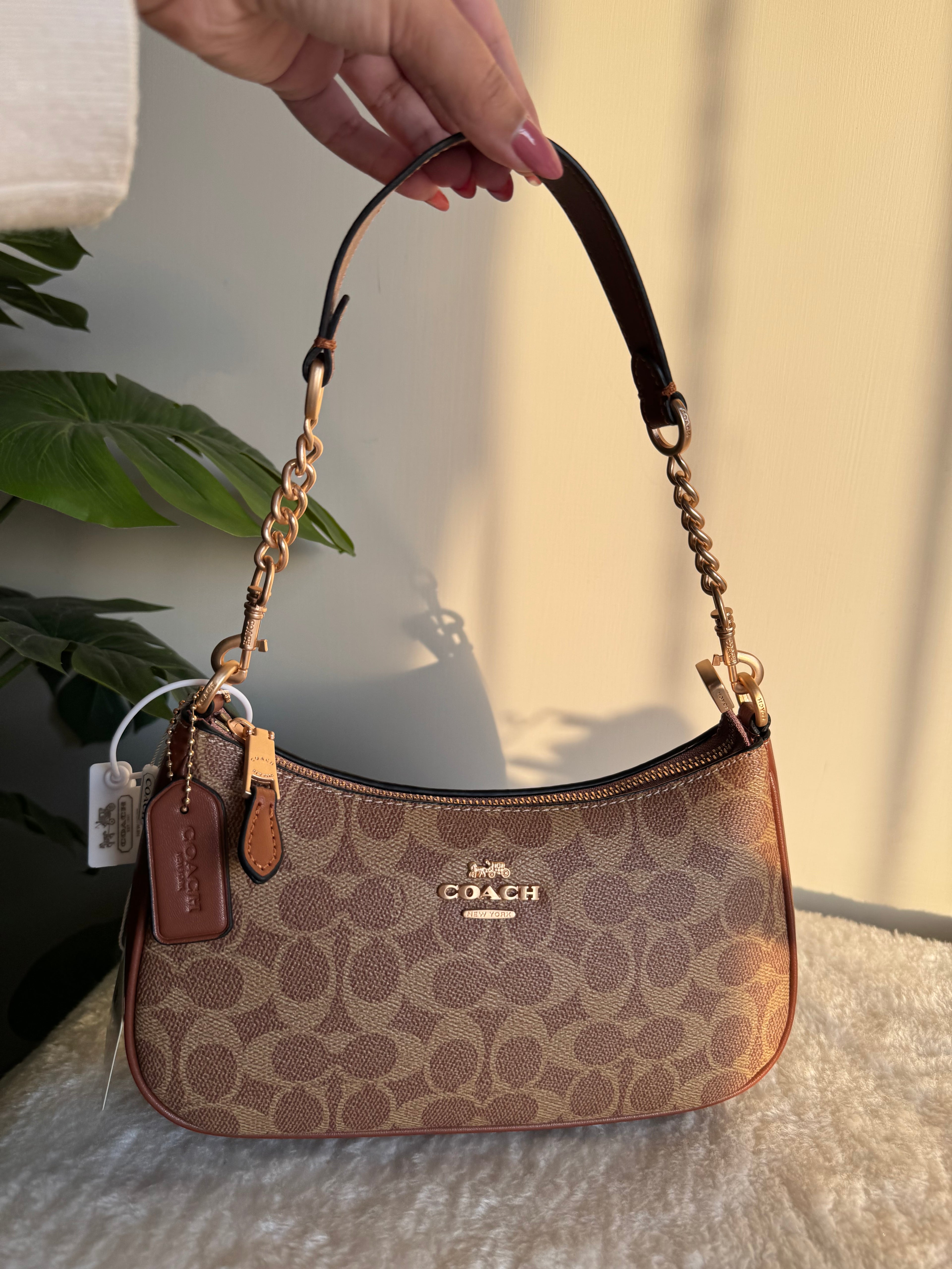 COACH TERI PREMIUM (Apricot Brown) - BOX PACKING
