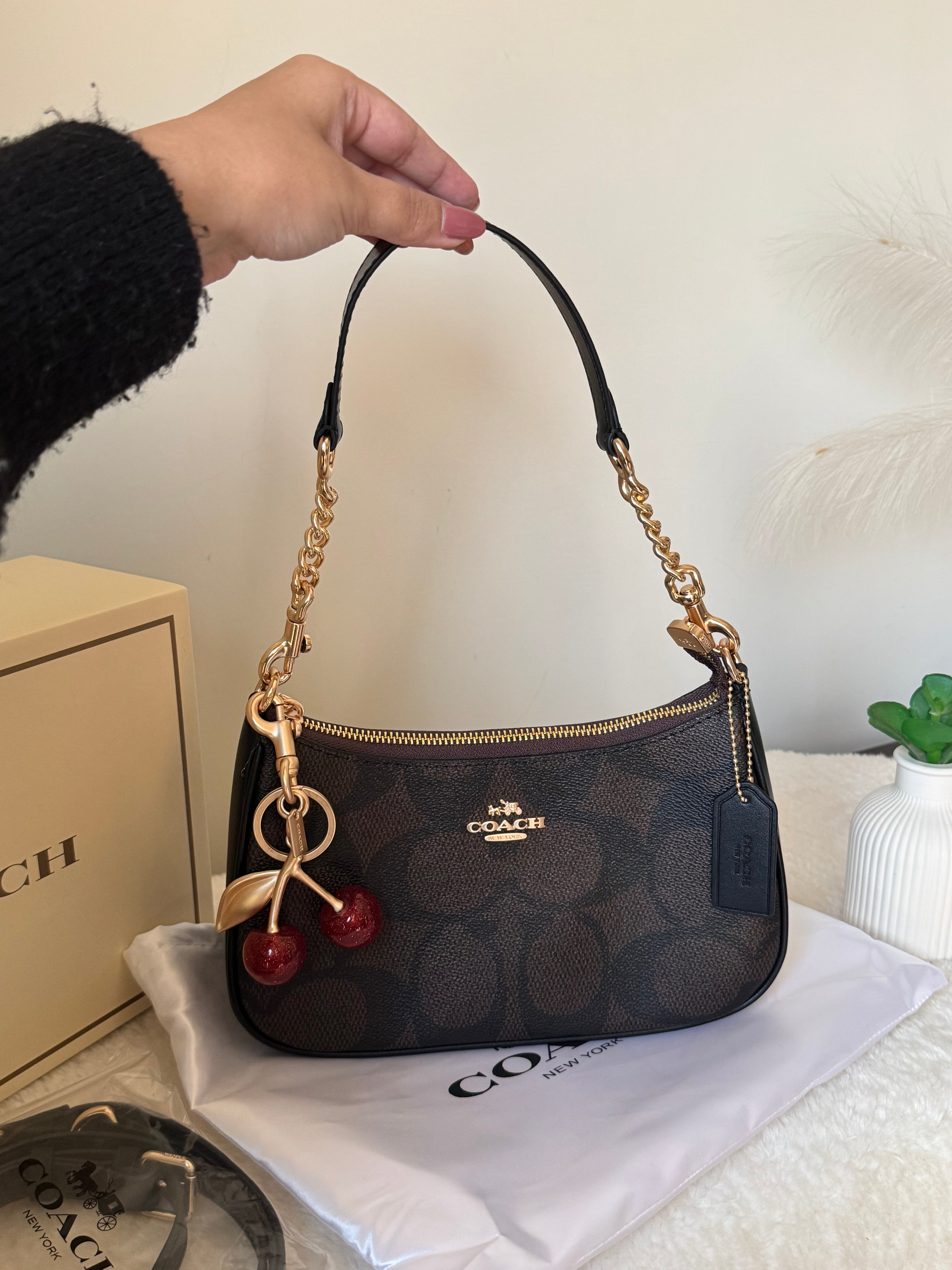 COACH TERI PREMIUM with Coach Cherry Charm (Brown) - BOX PACKING