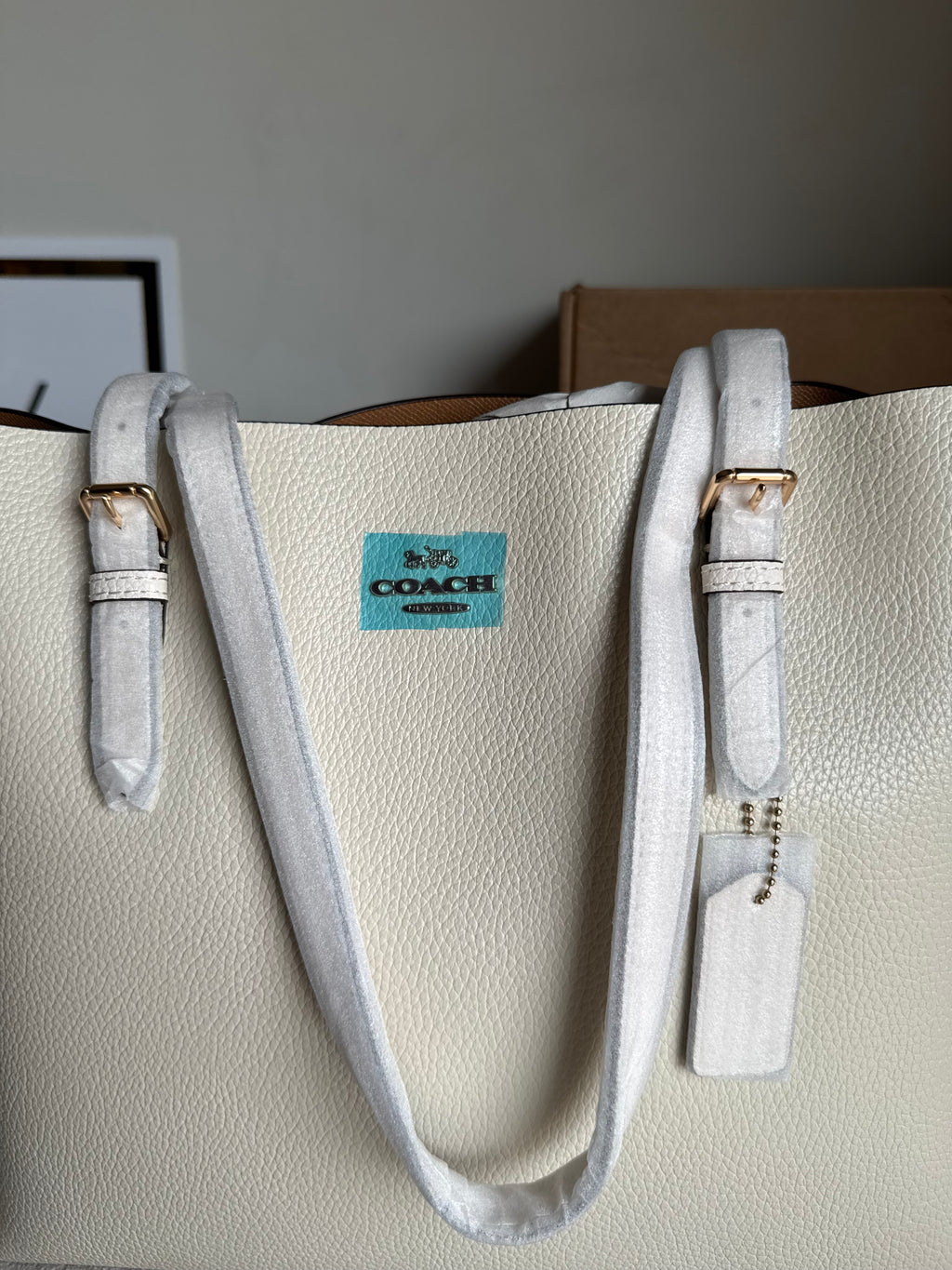 EXTREMELY PREMIUM COACH Mollie Tote Bag - Cream (BOX PACKING)