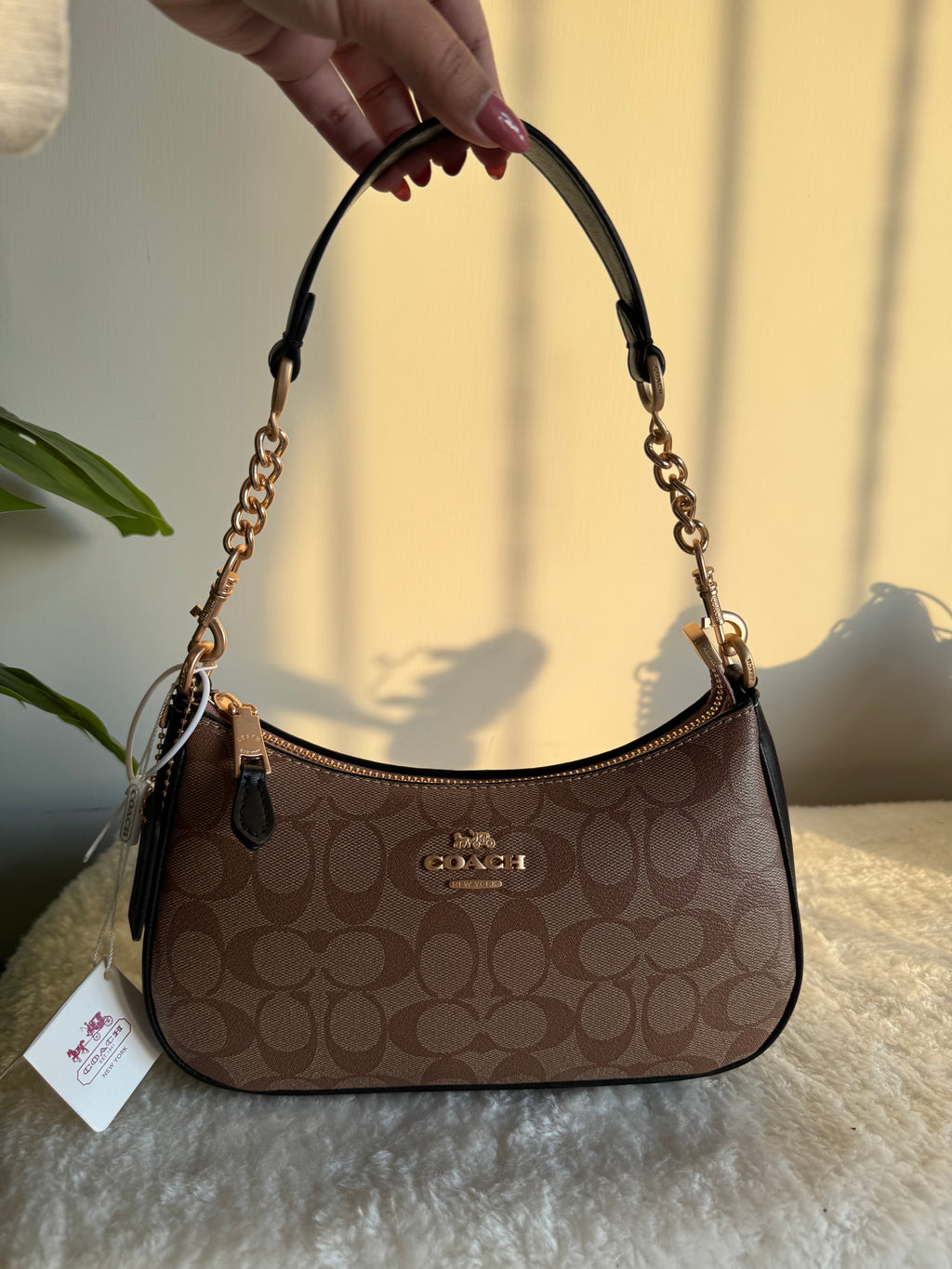 COACH TERI PREMIUM (Apricot Black) - BOX PACKING